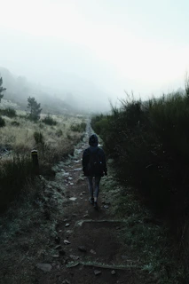 A person walking down a trail in the fog