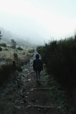 A person walking down a trail in the fog