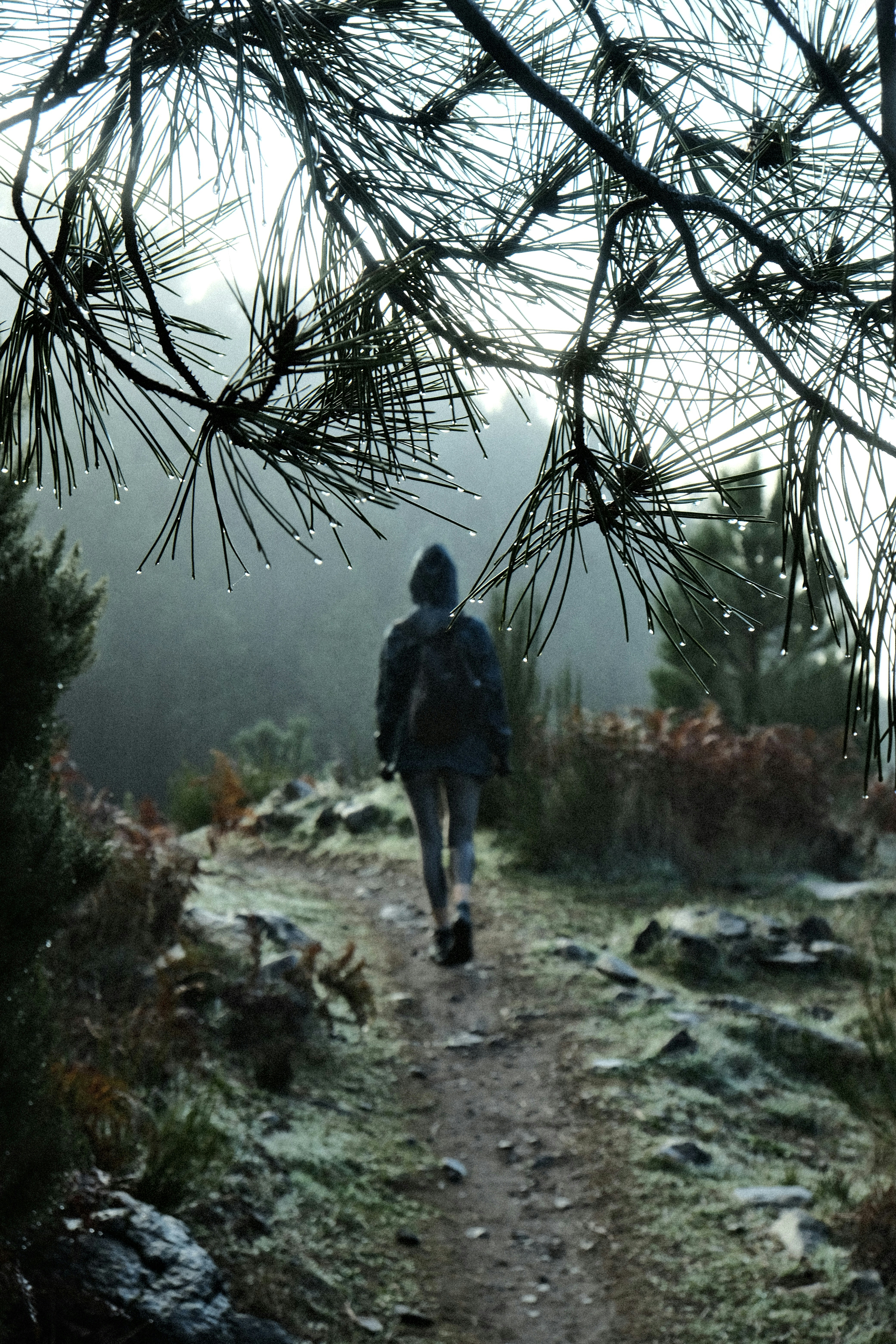 The Coherence of Theism: Is the Concept of God Even Possible?