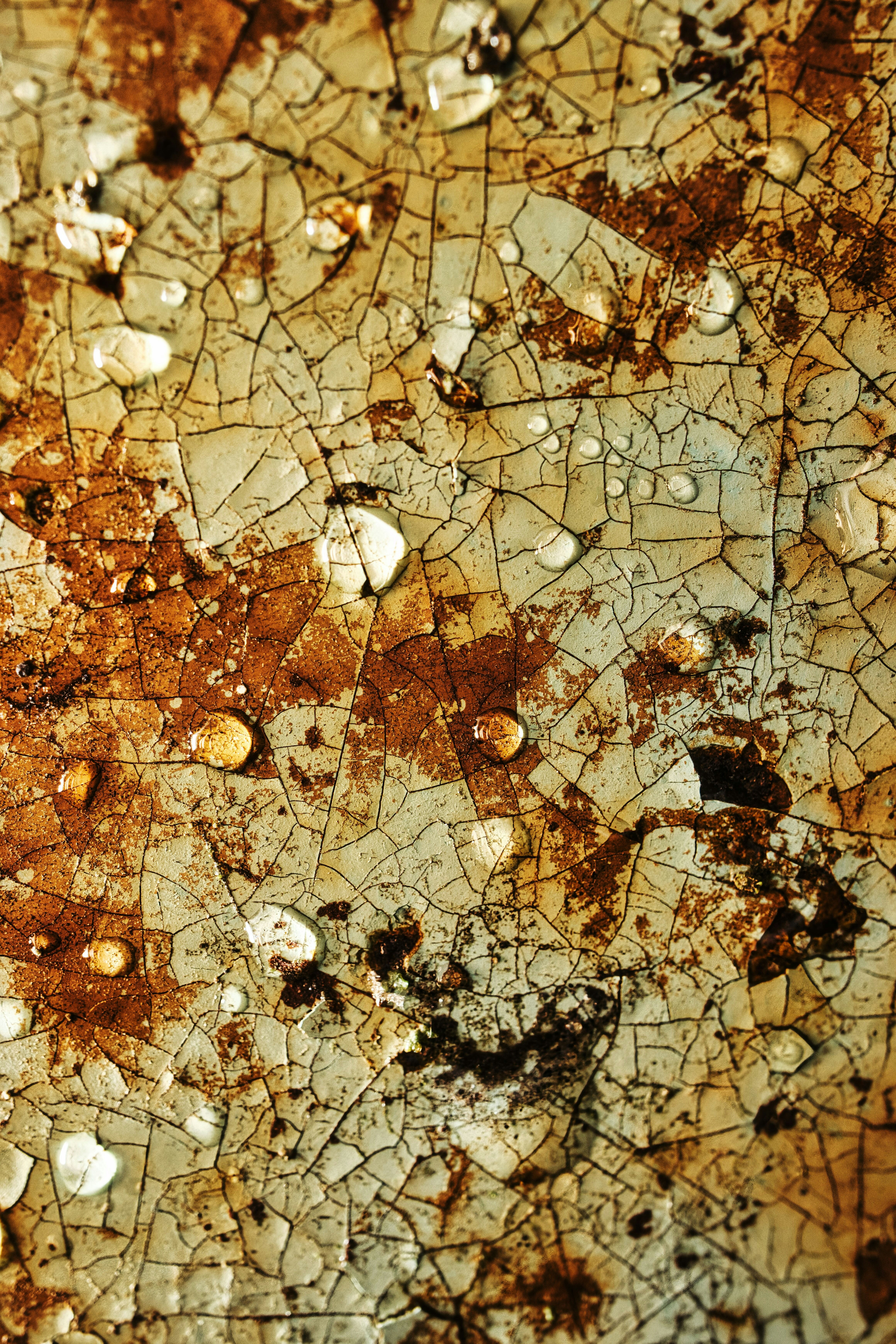 microscopic world wallpaper, wallpaper, Sejarah Virus: Evolusi, Dampak, dan Masa Depan 4