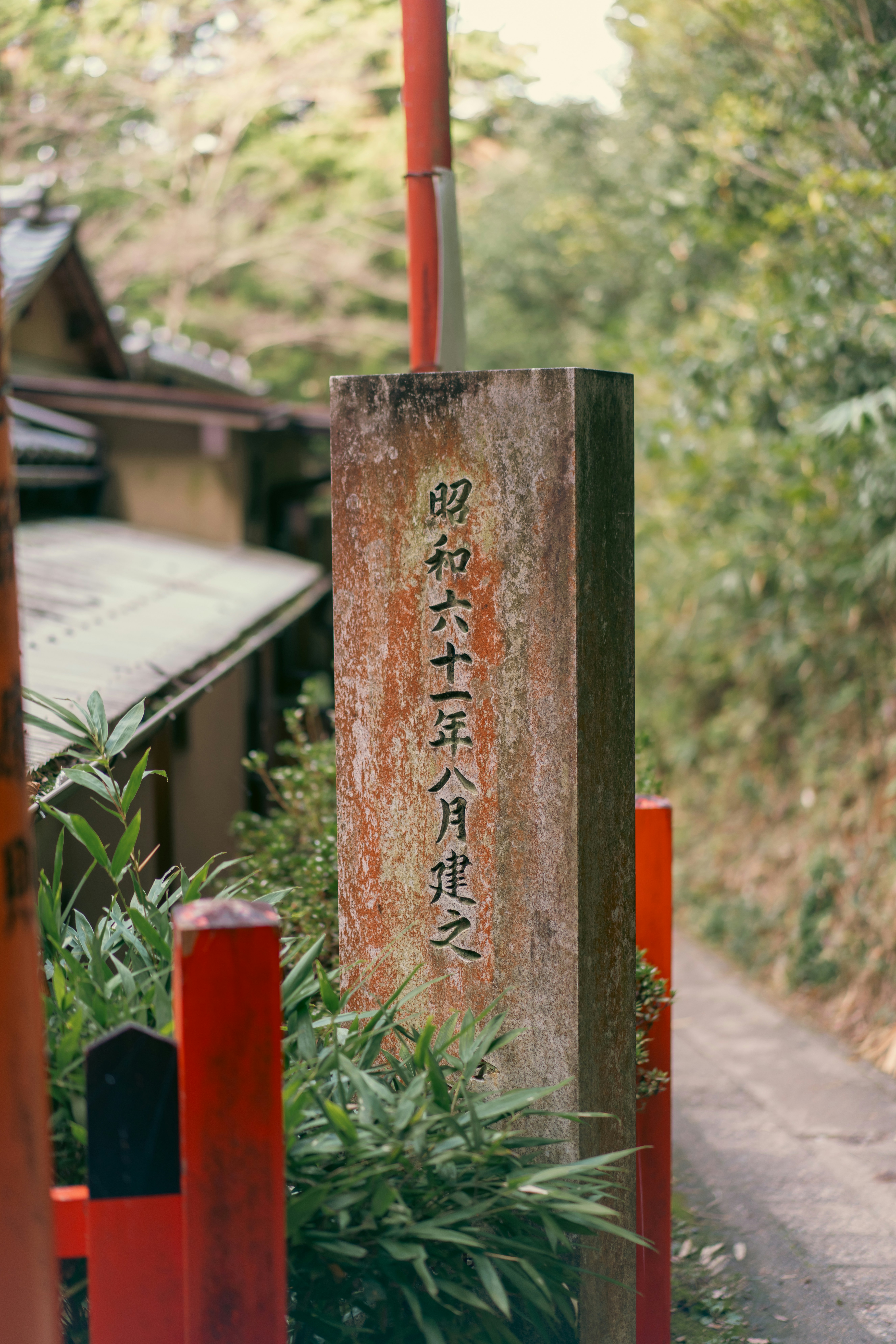 Photo by clayton_cardinalli