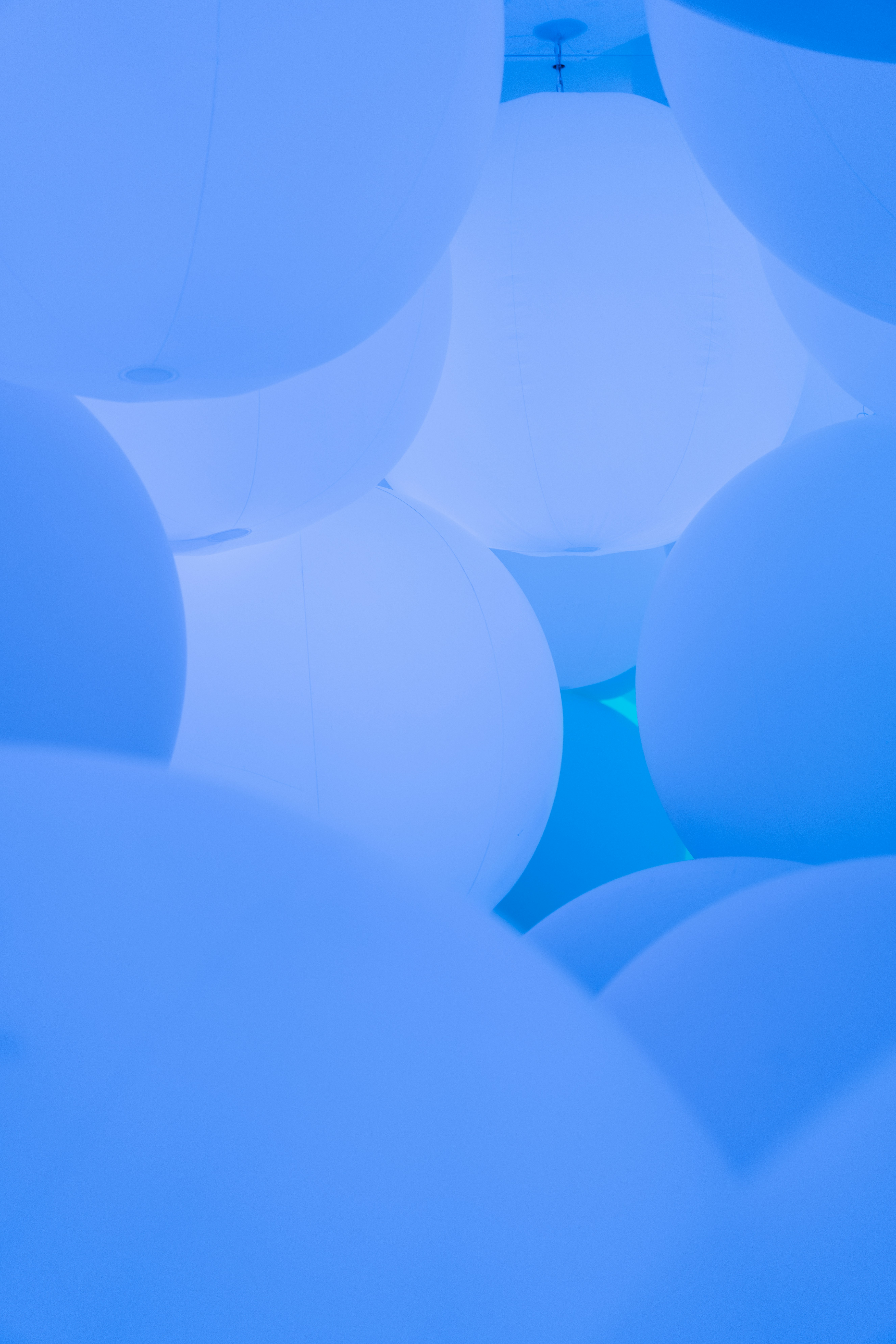 Photo by clayton_cardinalli