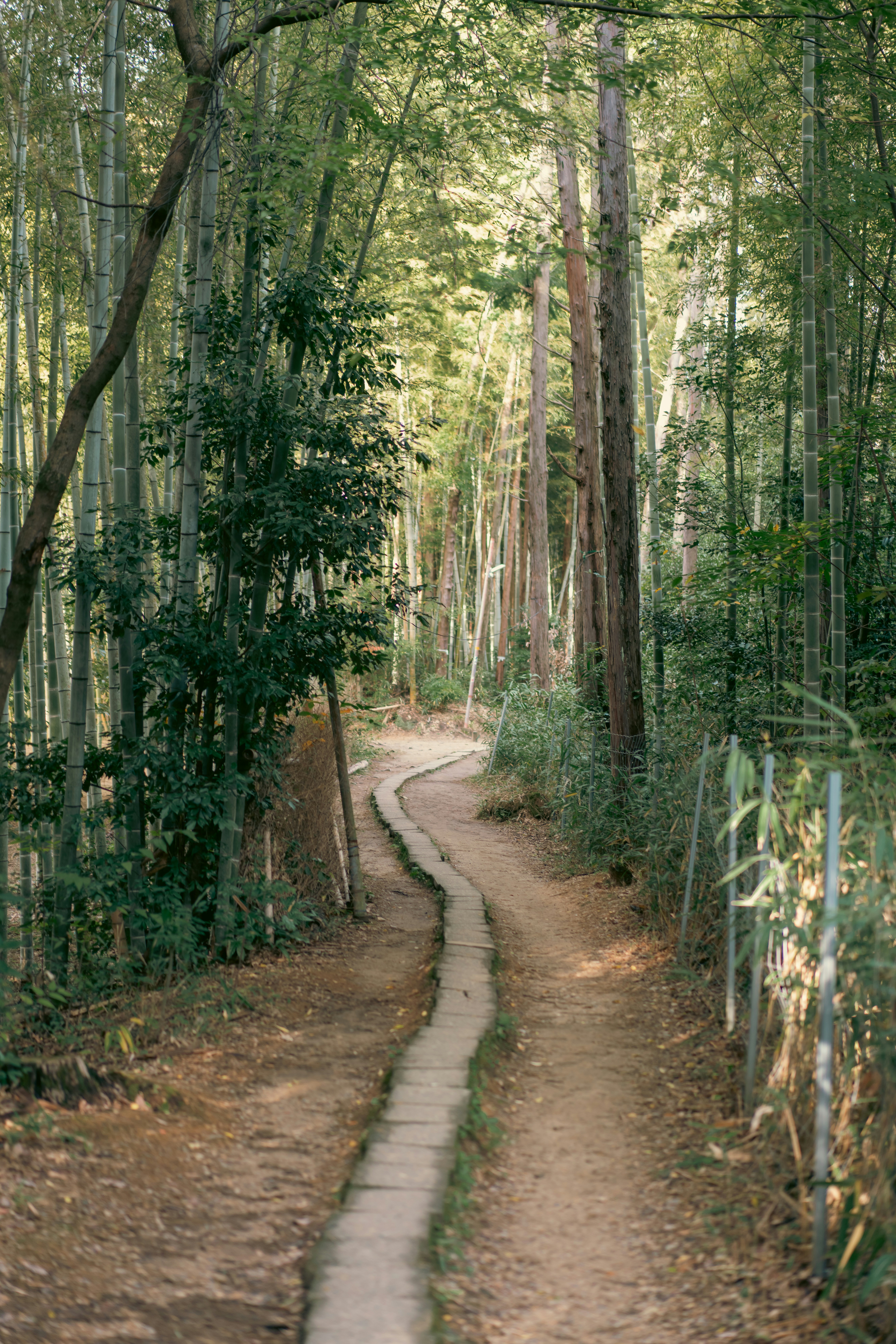 Photo by clayton_cardinalli