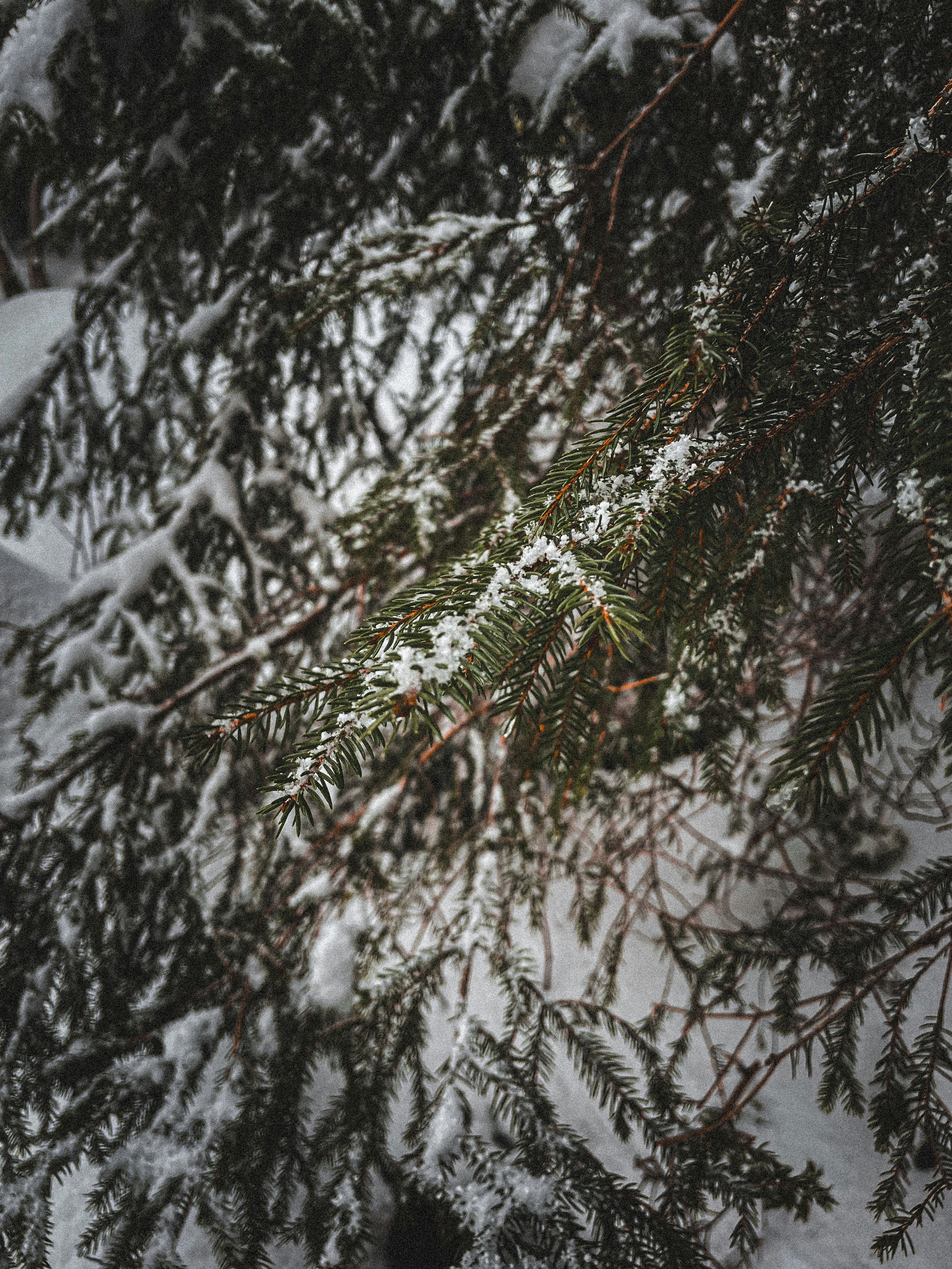 Photo by mihaelstojcevic