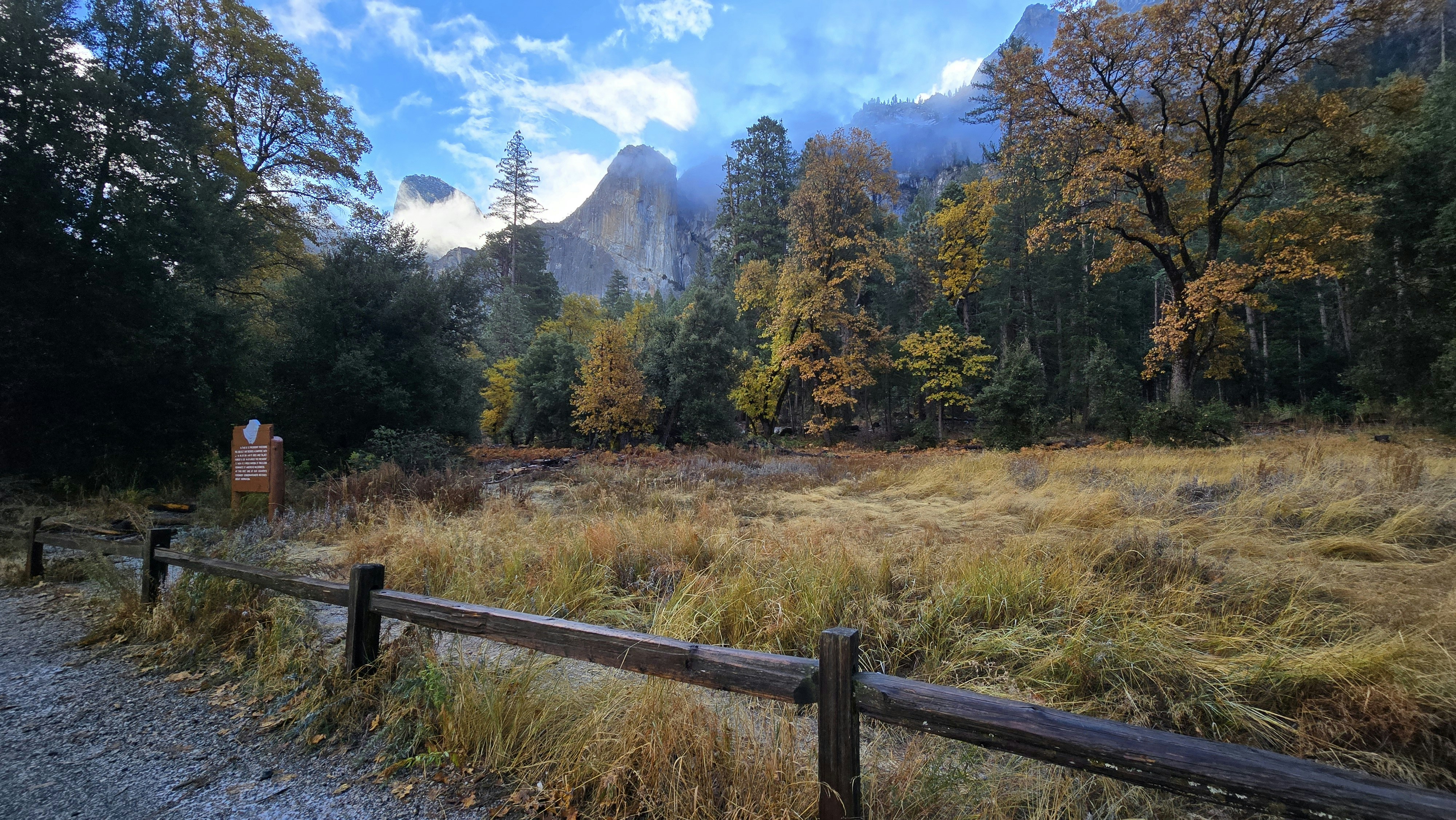 A wooden fence sitting next to a lush green forest