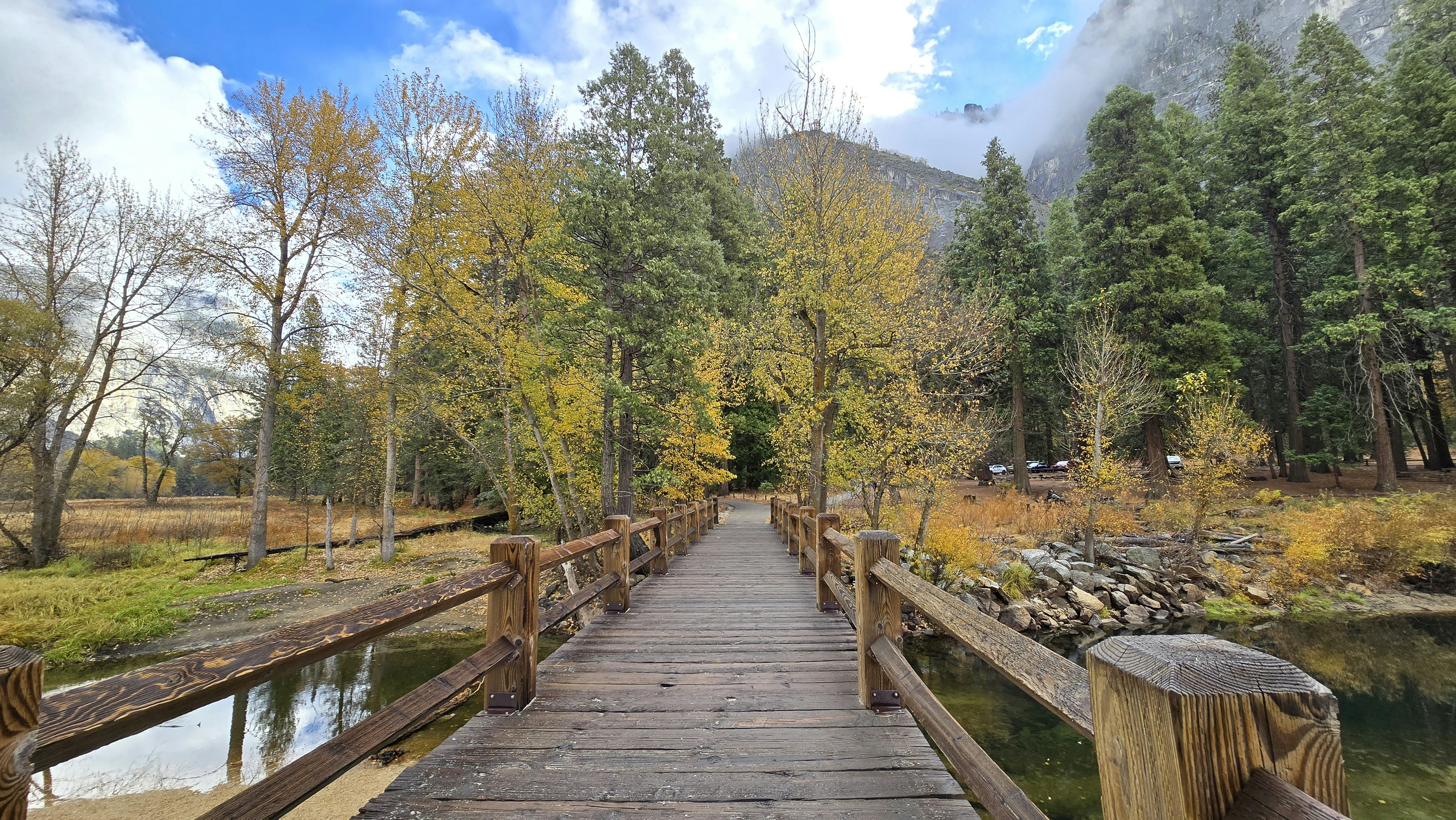 A wooden bridge over a small stream in a forest
