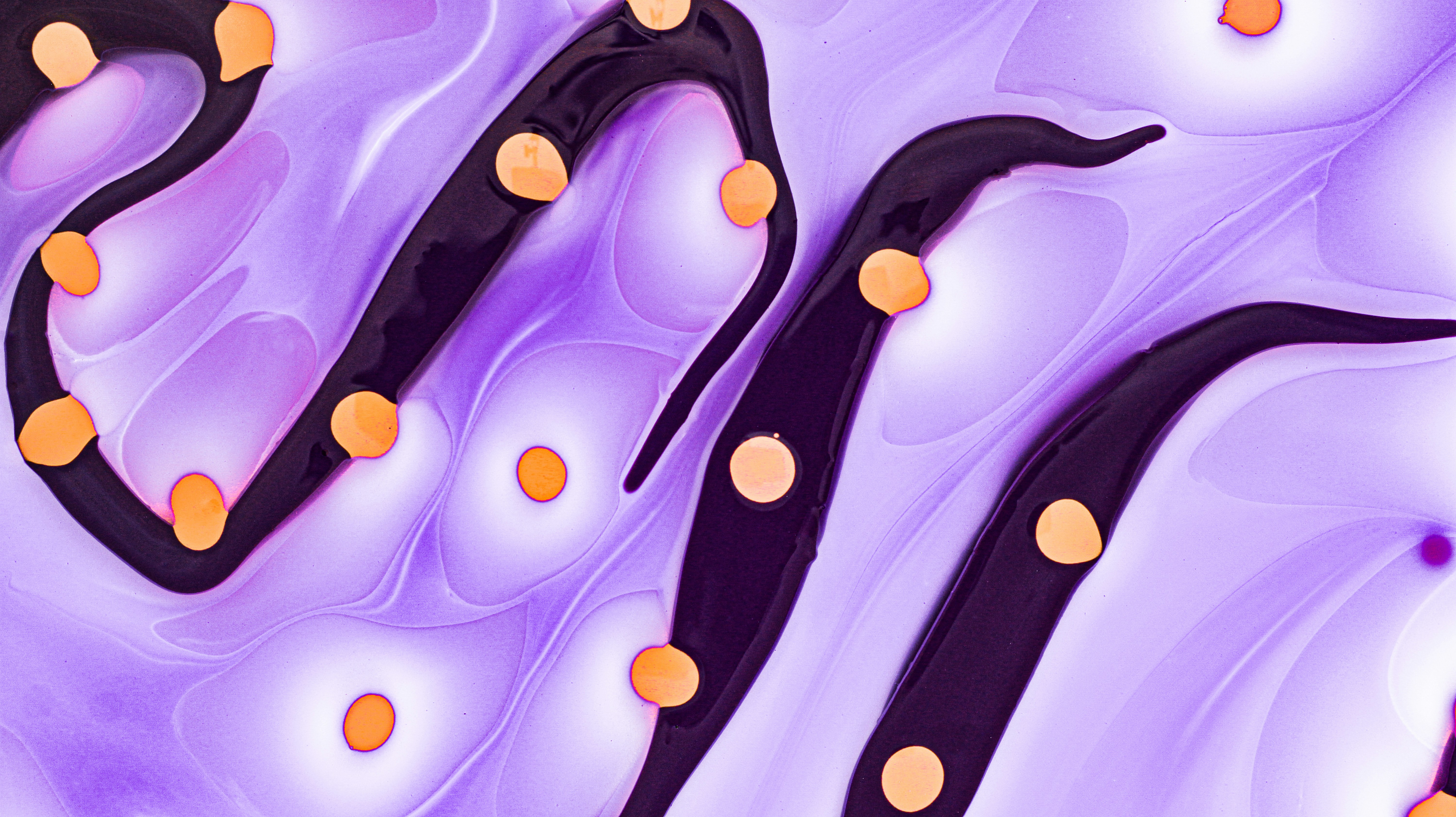 주식 계좌 개설 시 준비물: 무엇을 준비해야 할까?