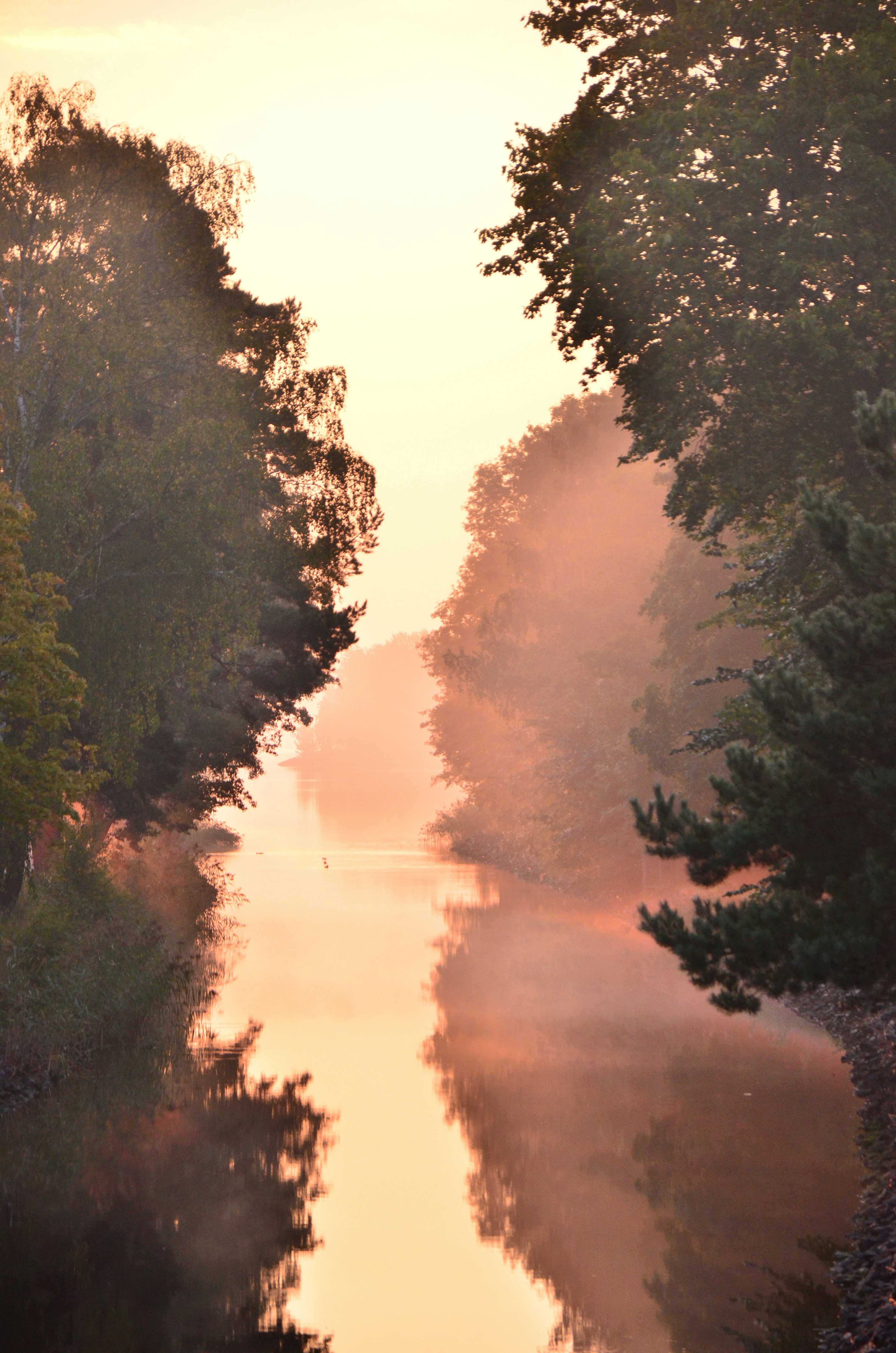 Photo by kirkegaard