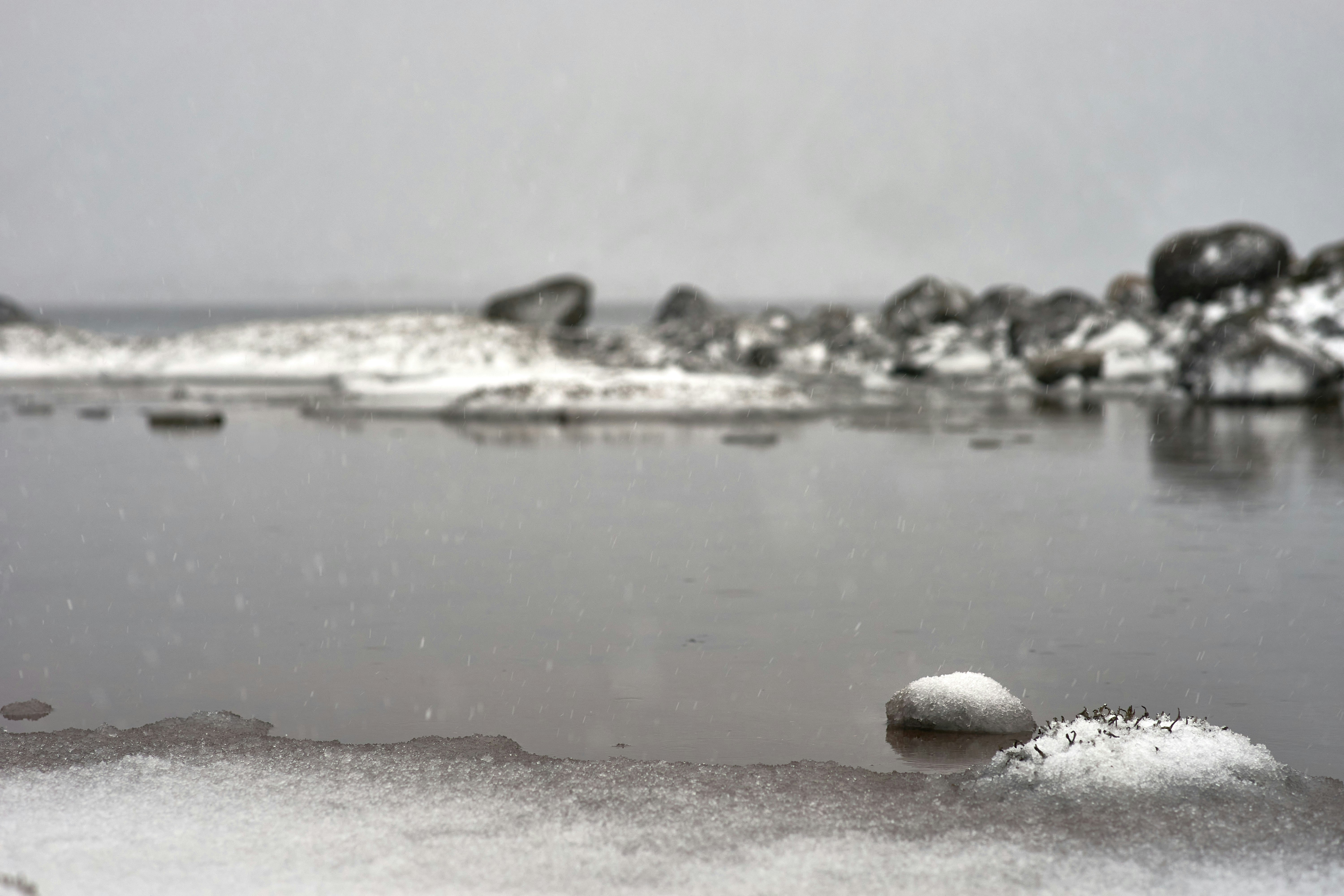 Photo by wolfgang_hasselmann