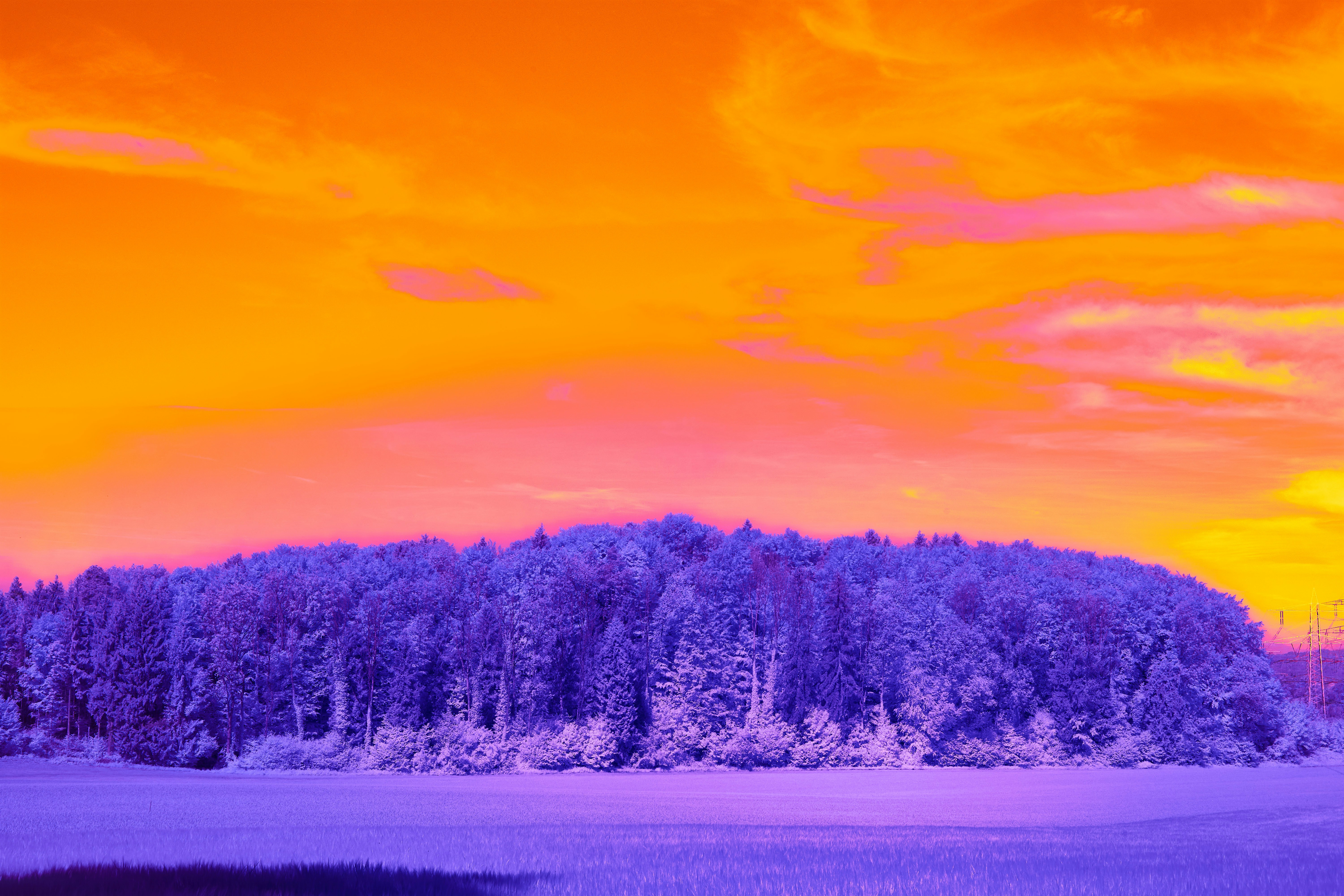 Photo by wolfgang_hasselmann