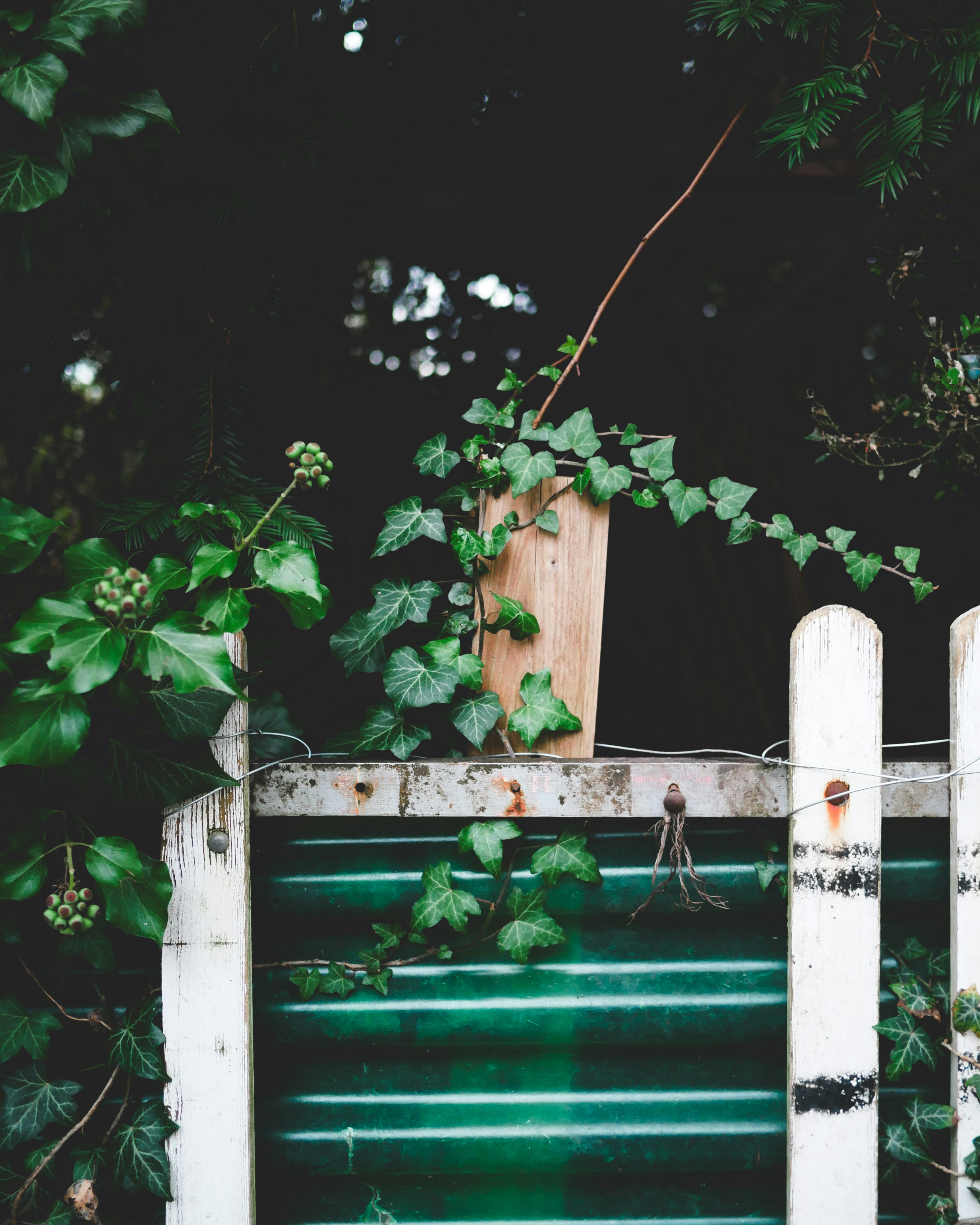 Photo by itsaistebeach