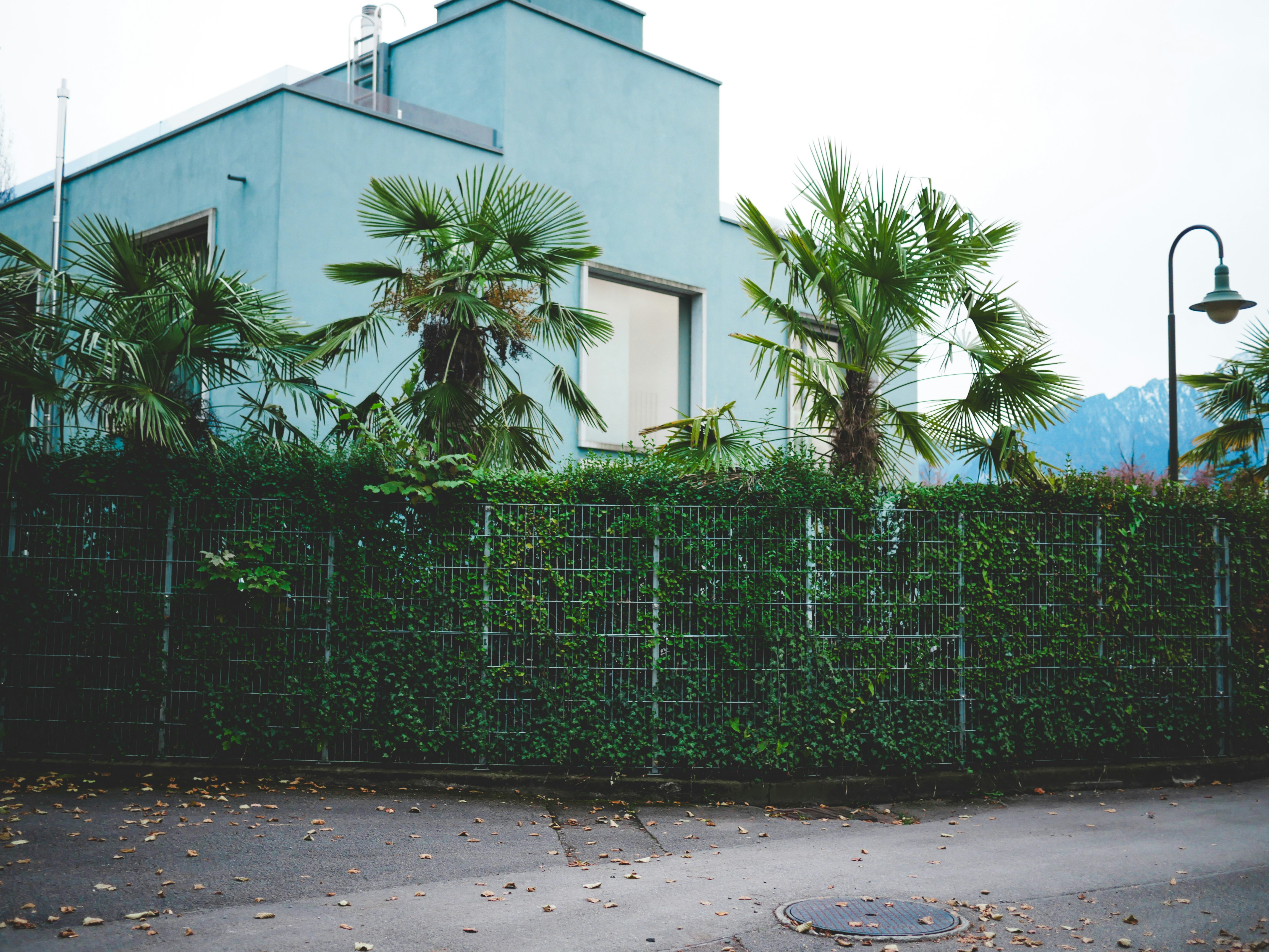 Photo by itsaistebeach