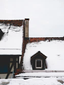 A house covered in snow with a bird sitting on the roof
