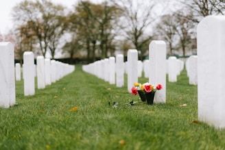 A row of white headstones with flowers in them