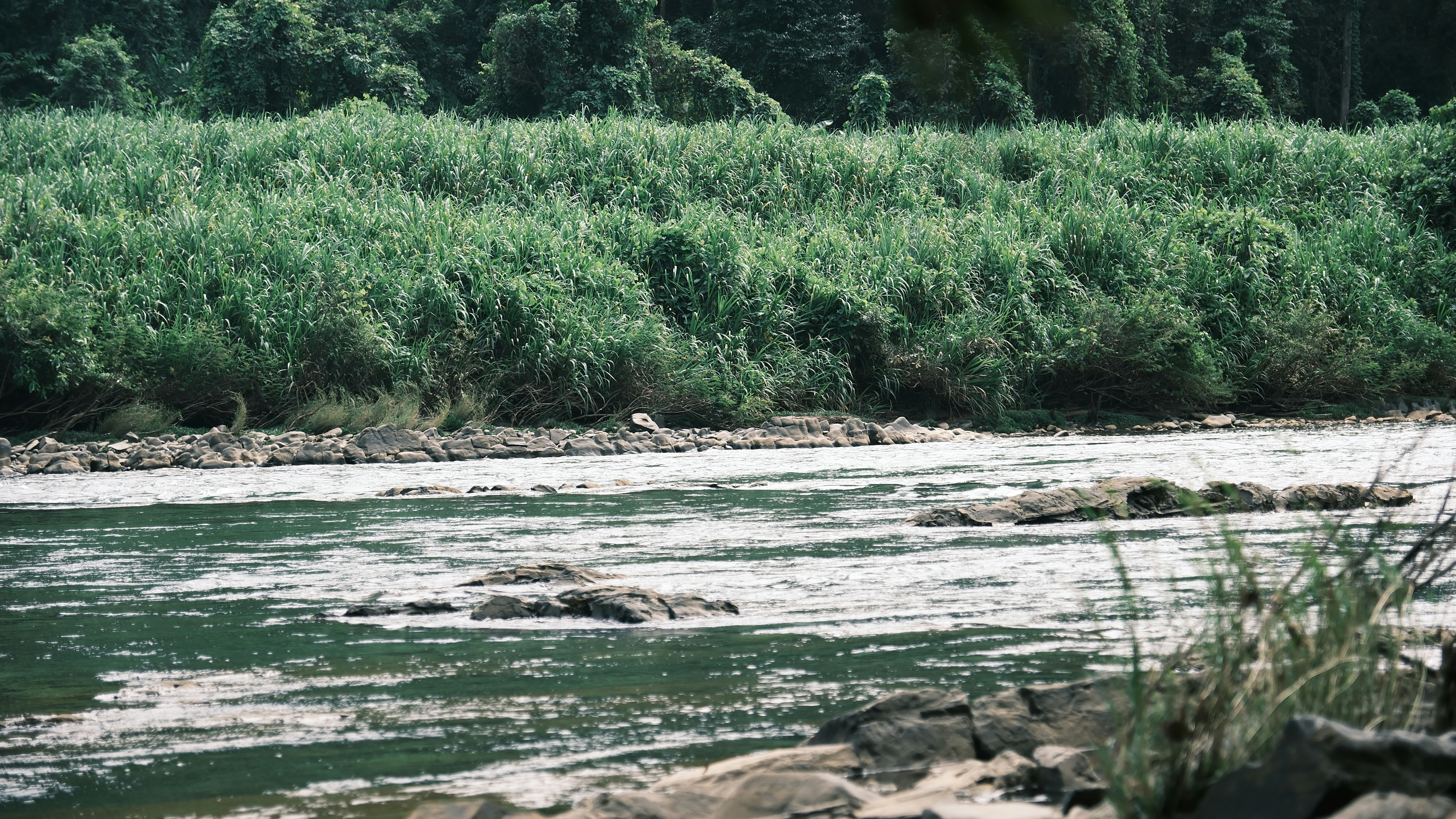 Photo by chuchu123456