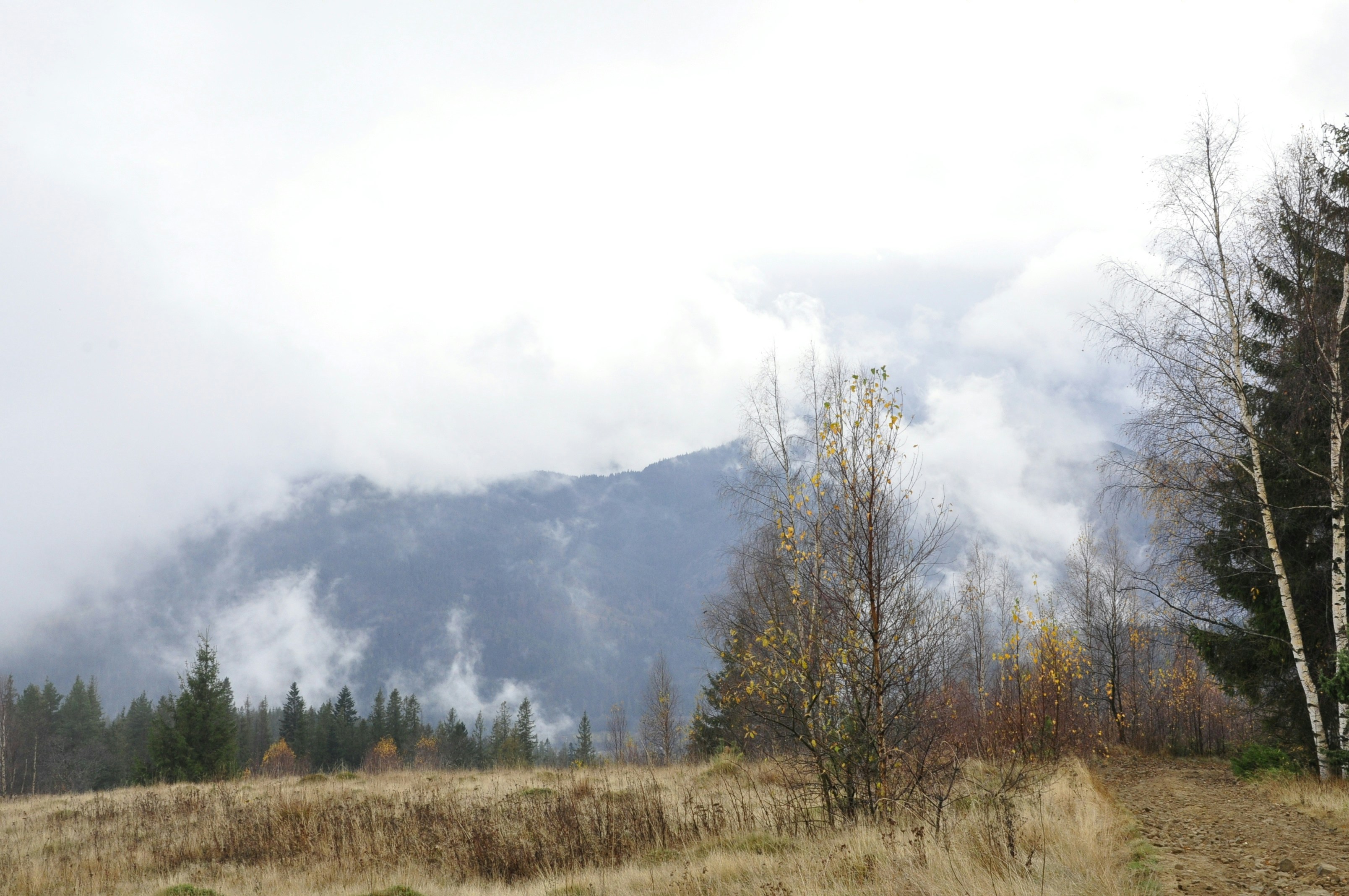 Photo by blackpumpkin