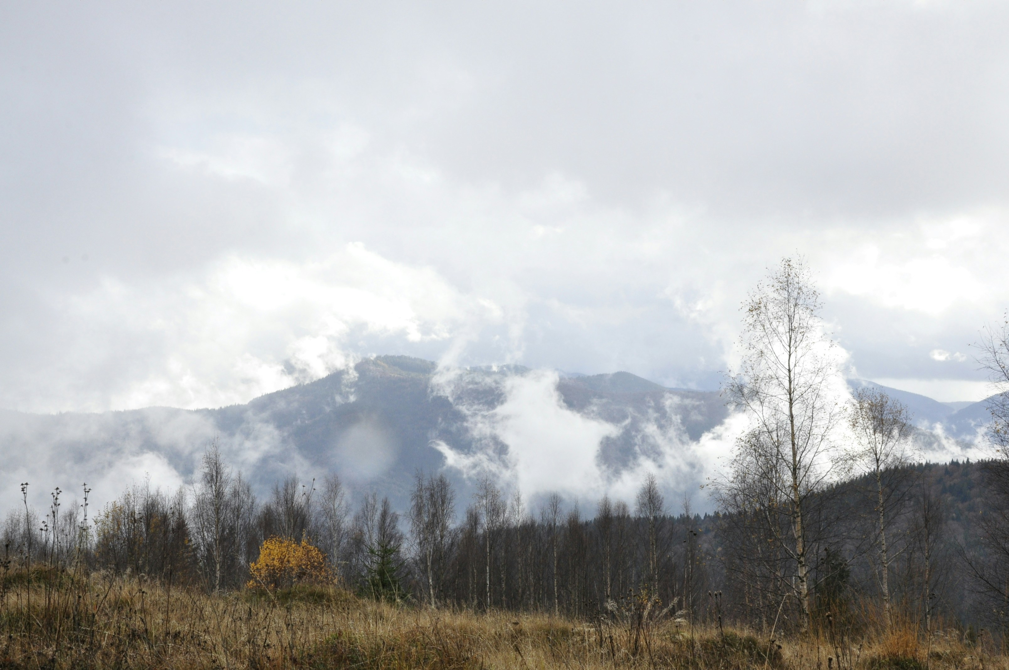 Photo by blackpumpkin