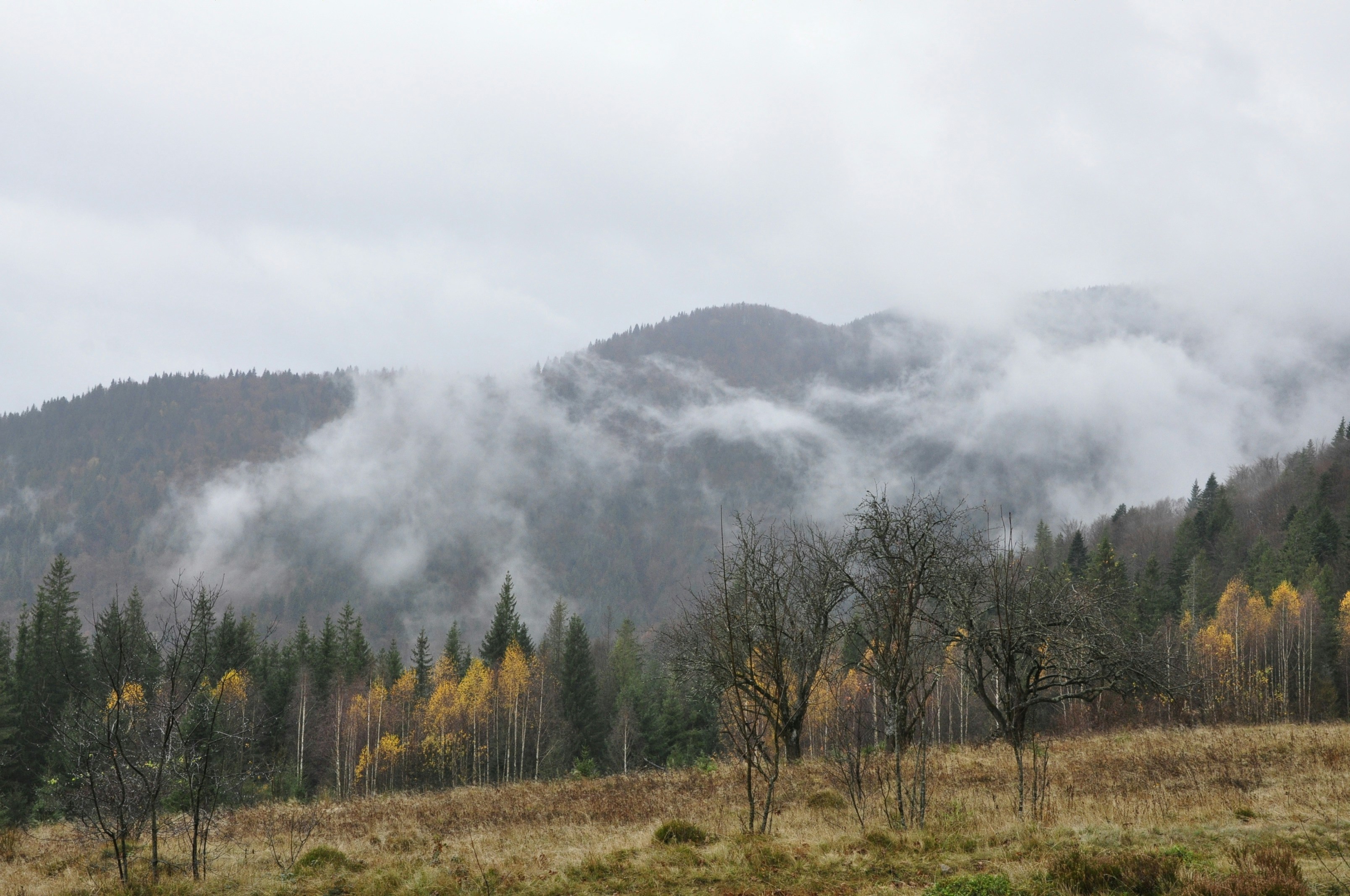 Photo by blackpumpkin