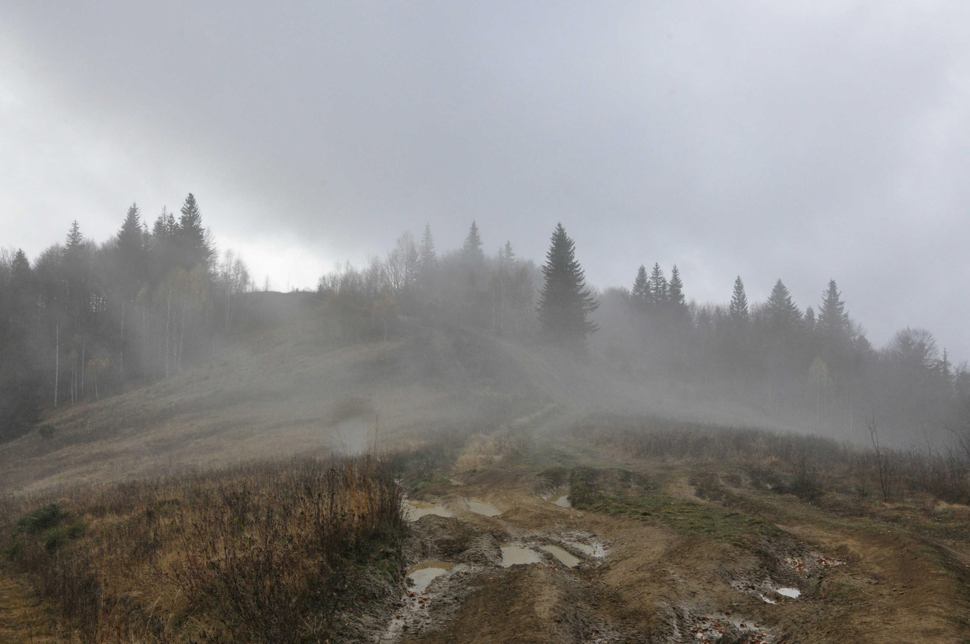 Photo by blackpumpkin