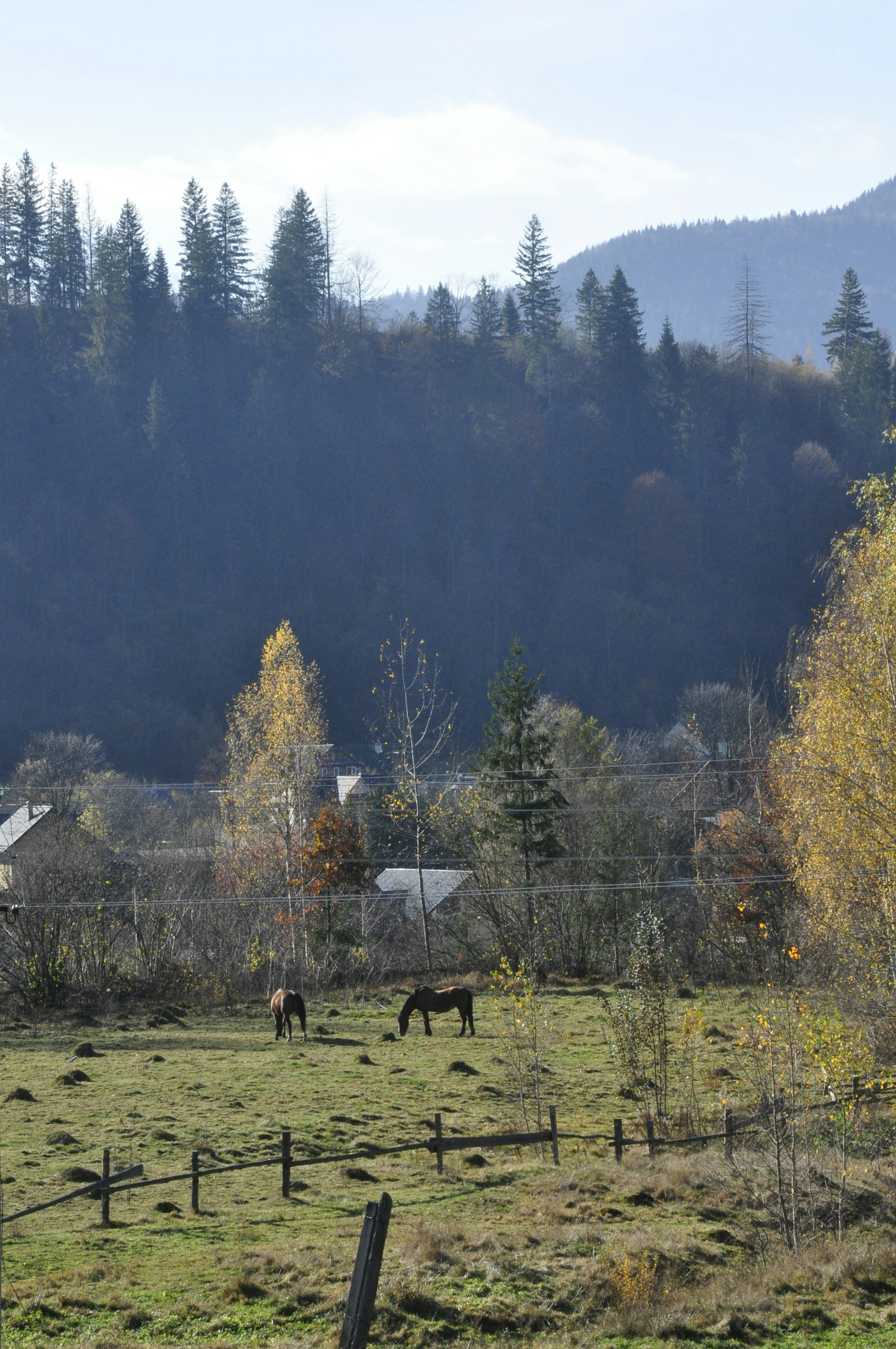 Photo by blackpumpkin