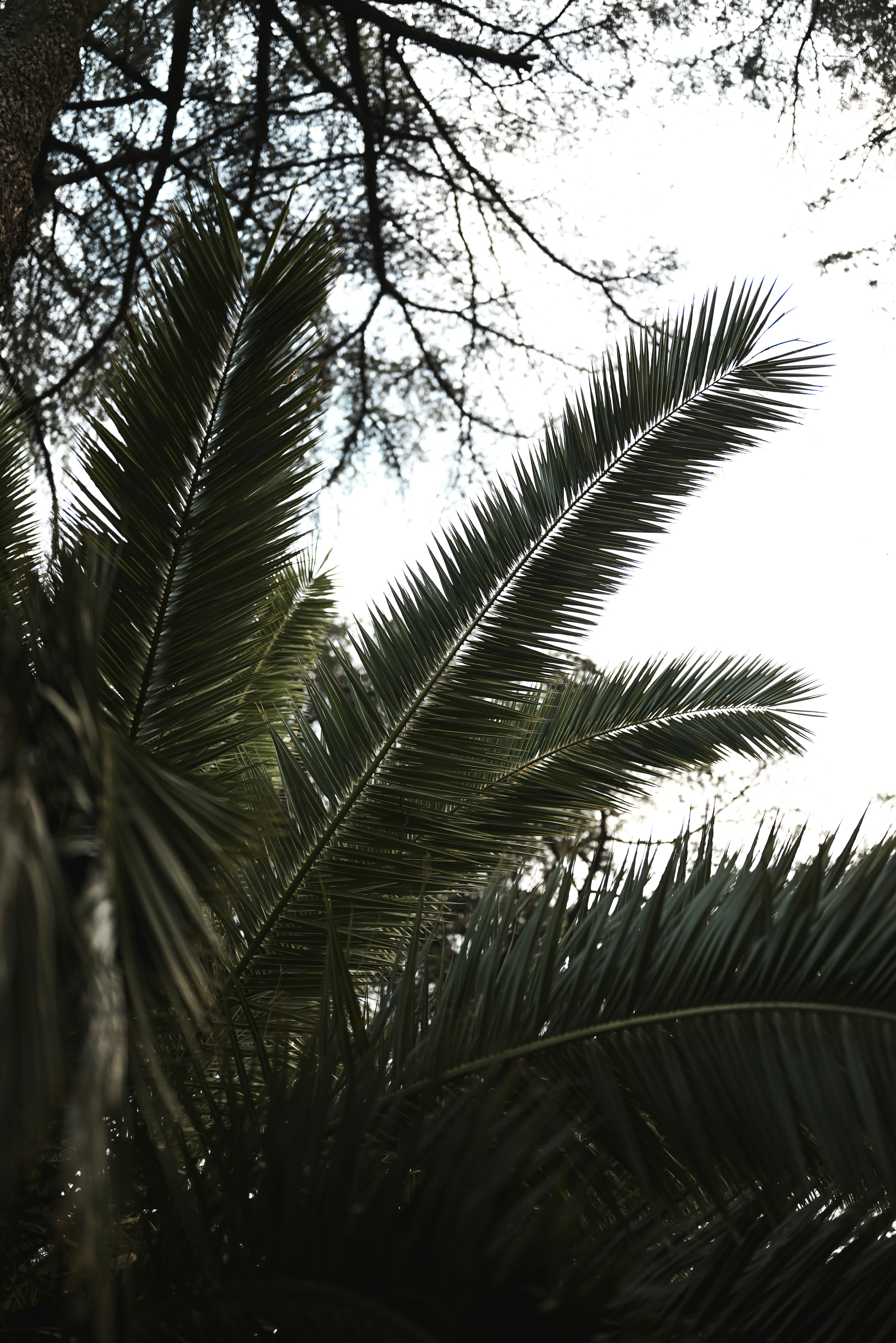 Photo by elliottmason