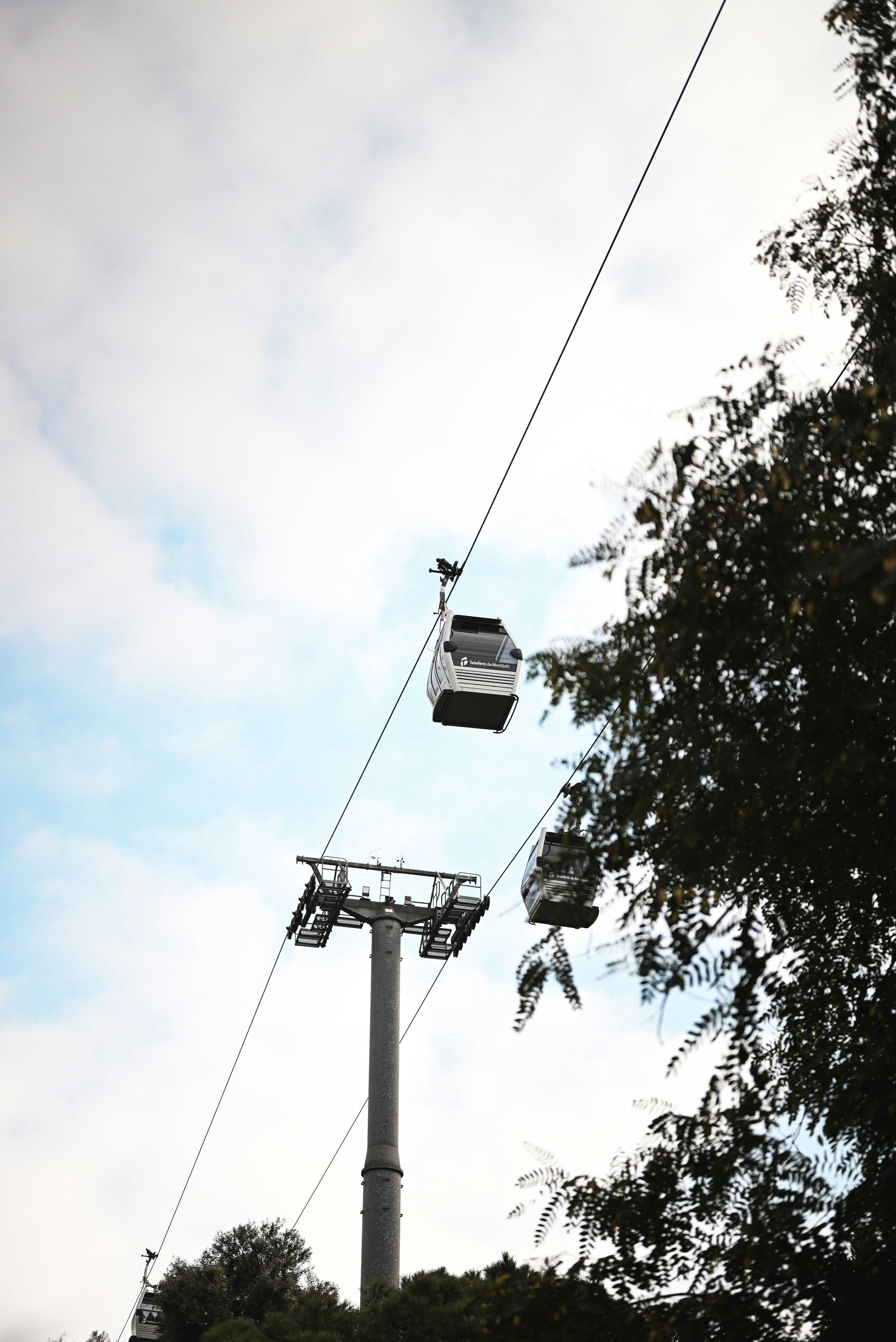 Photo by elliottmason