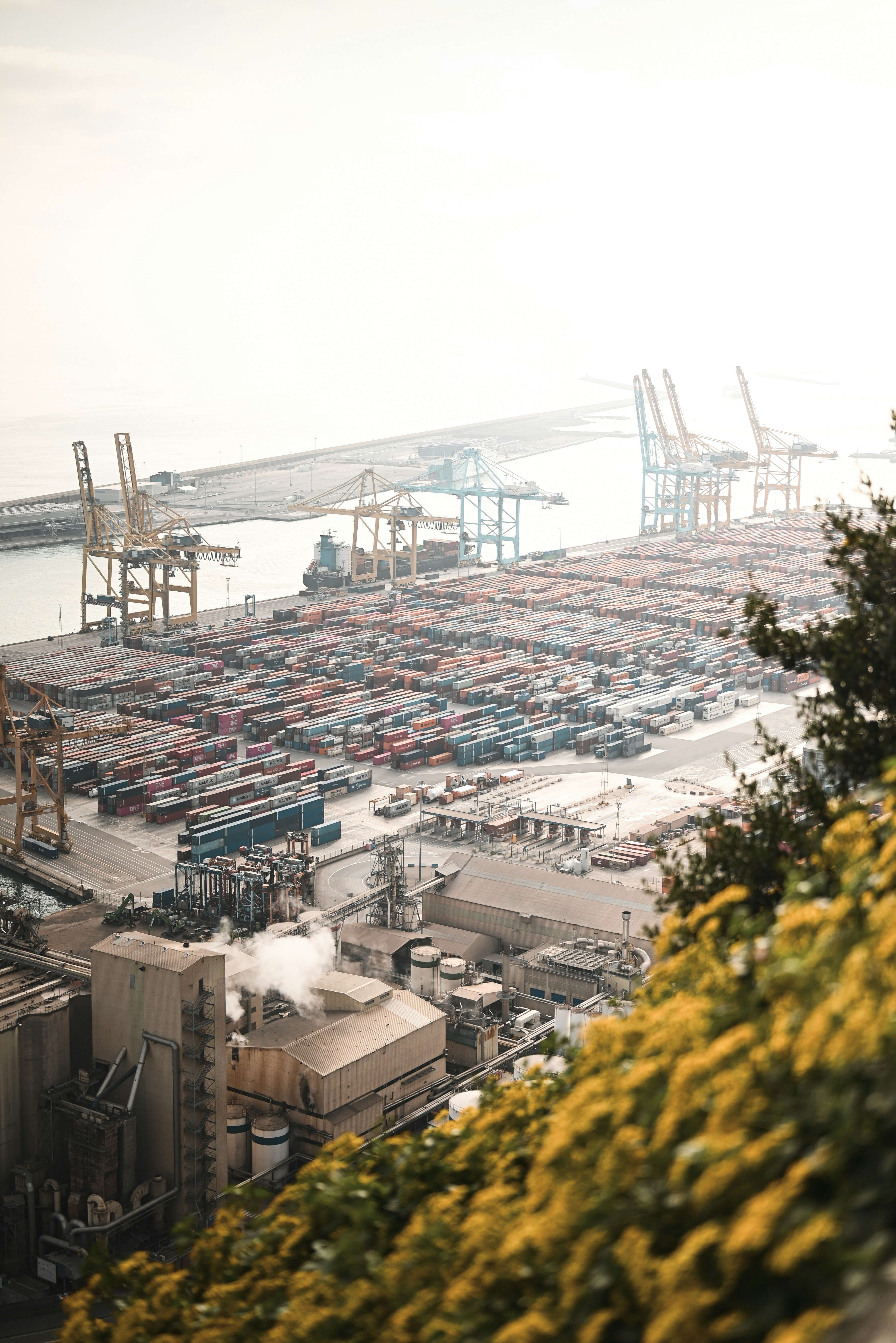 Photo by elliottmason