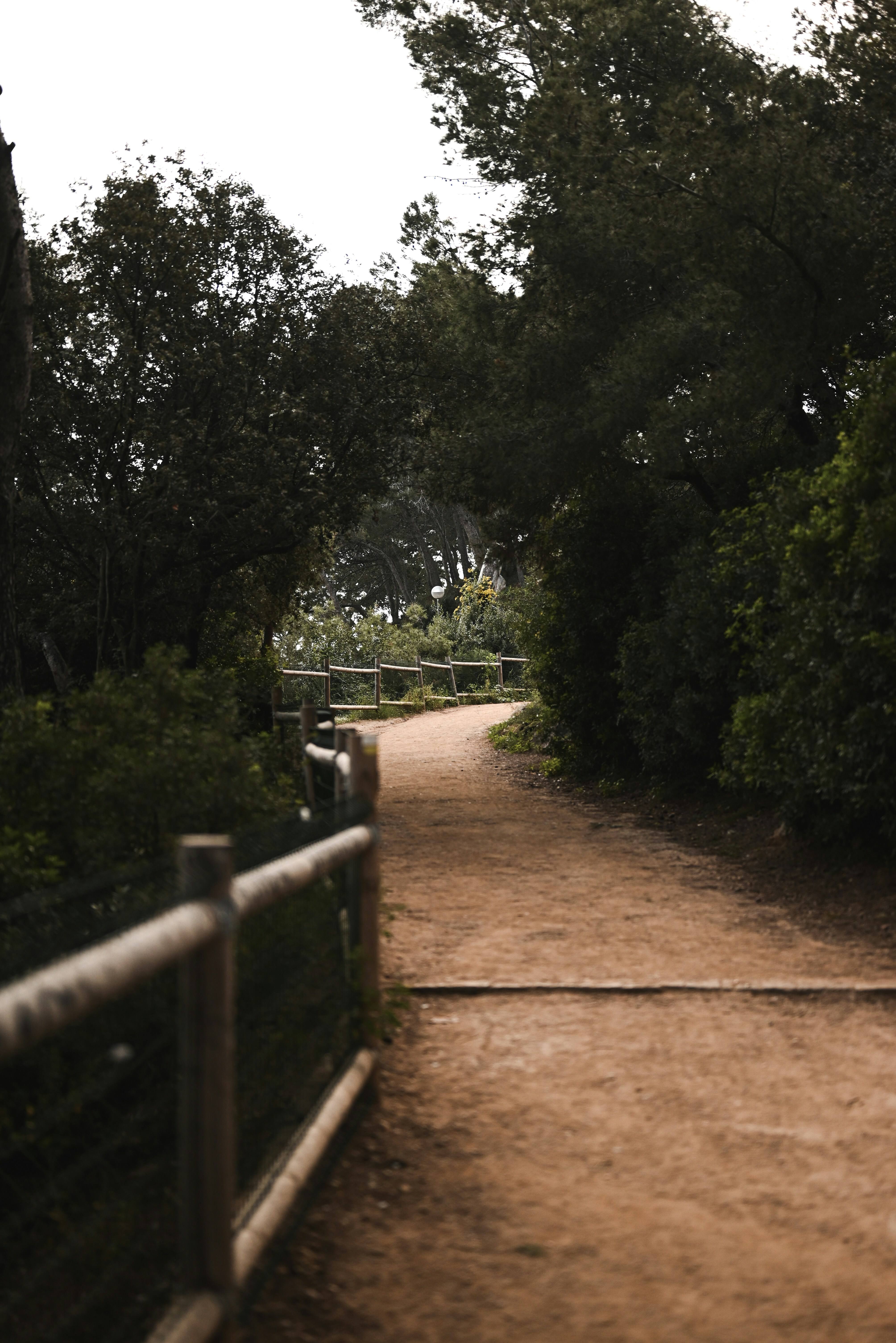 Photo by elliottmason