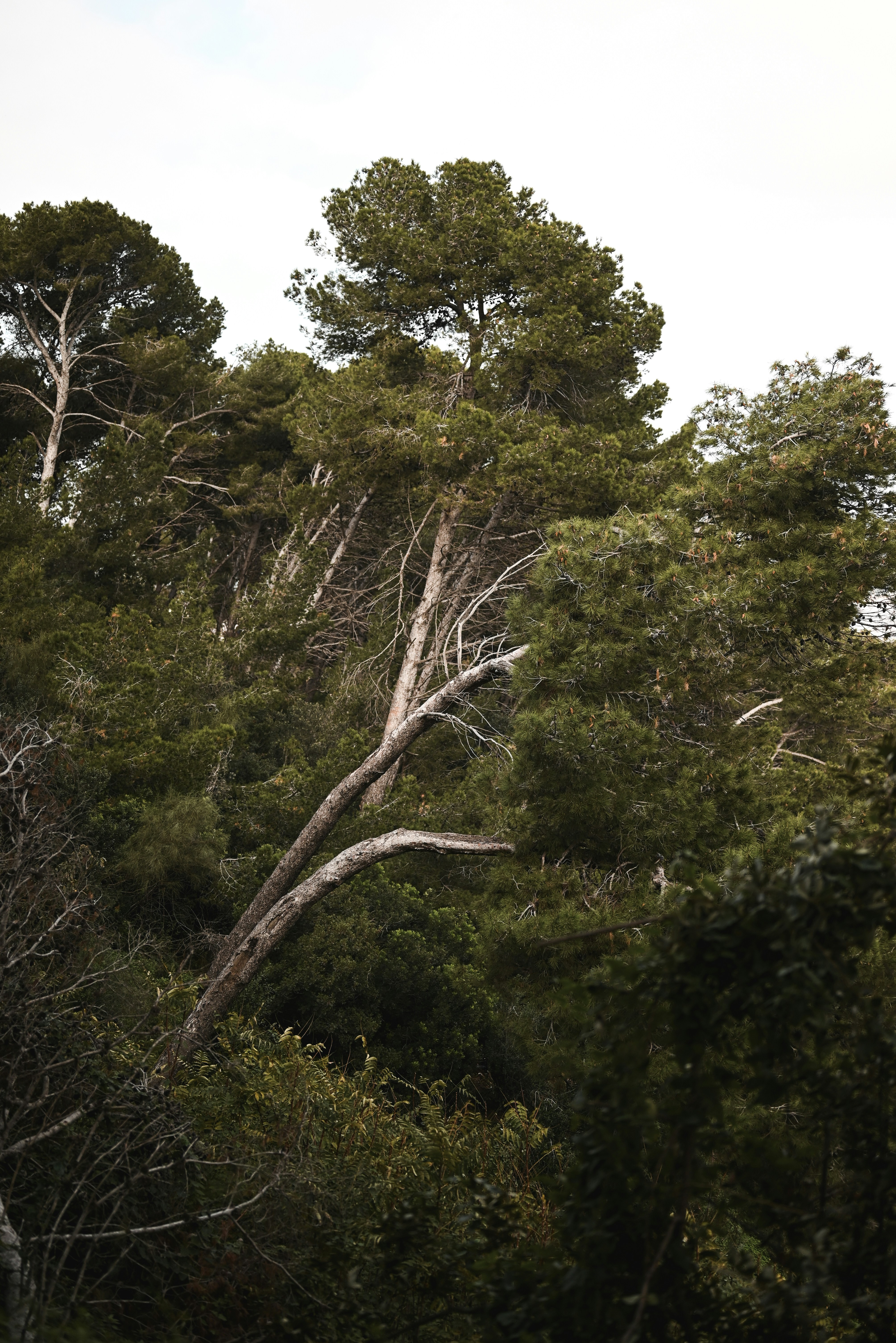 Photo by elliottmason