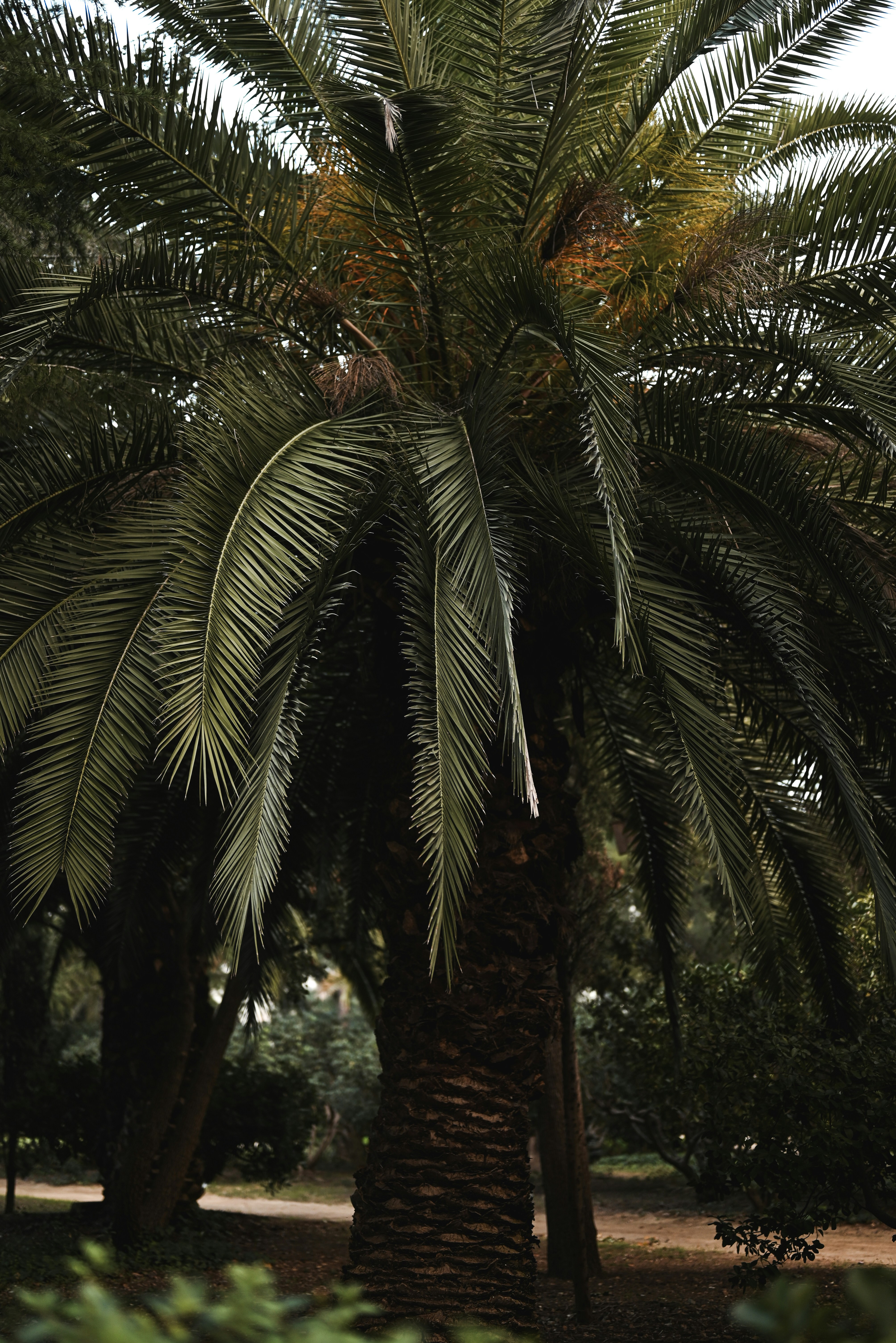 Photo by elliottmason