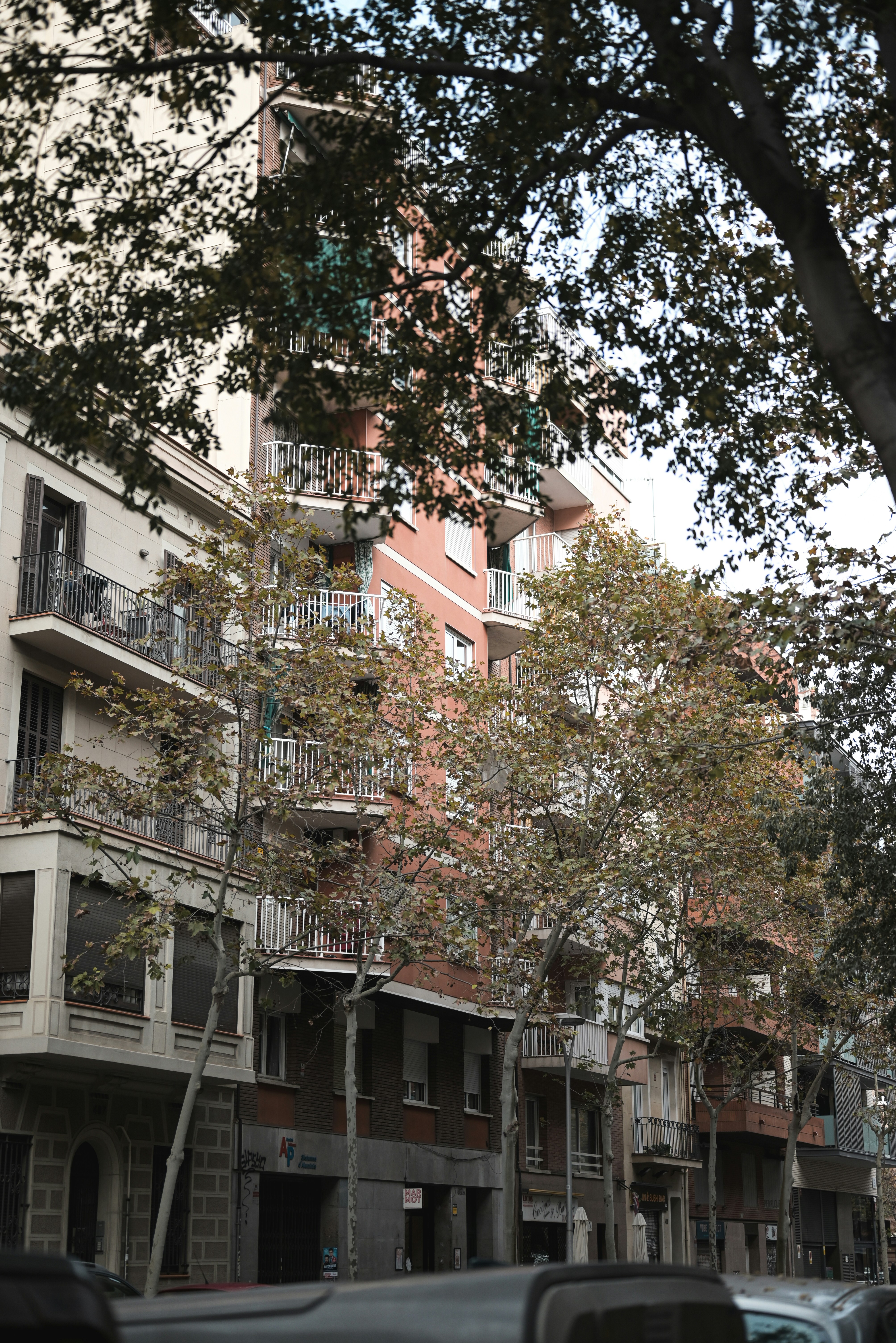 Photo by elliottmason