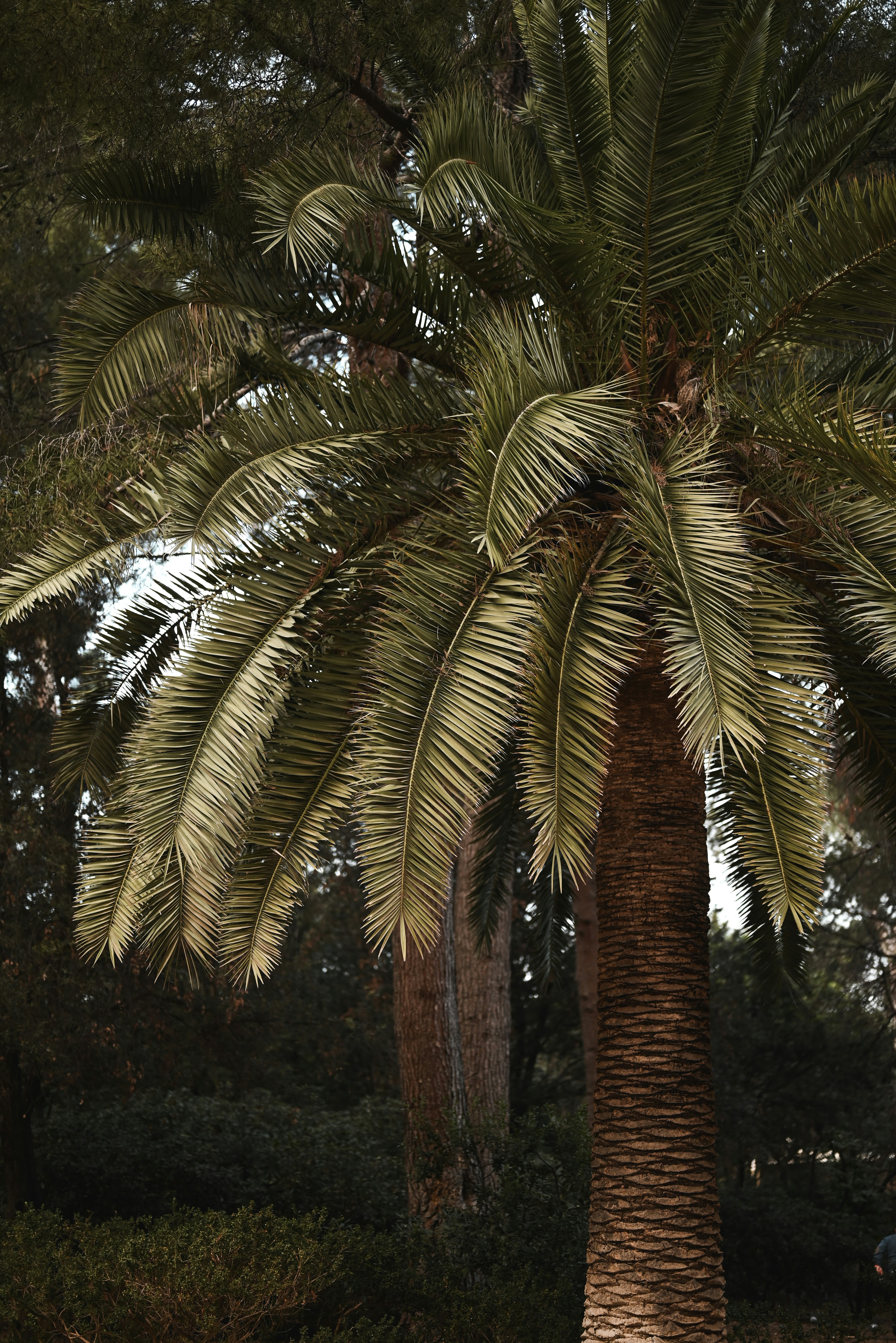 Photo by elliottmason