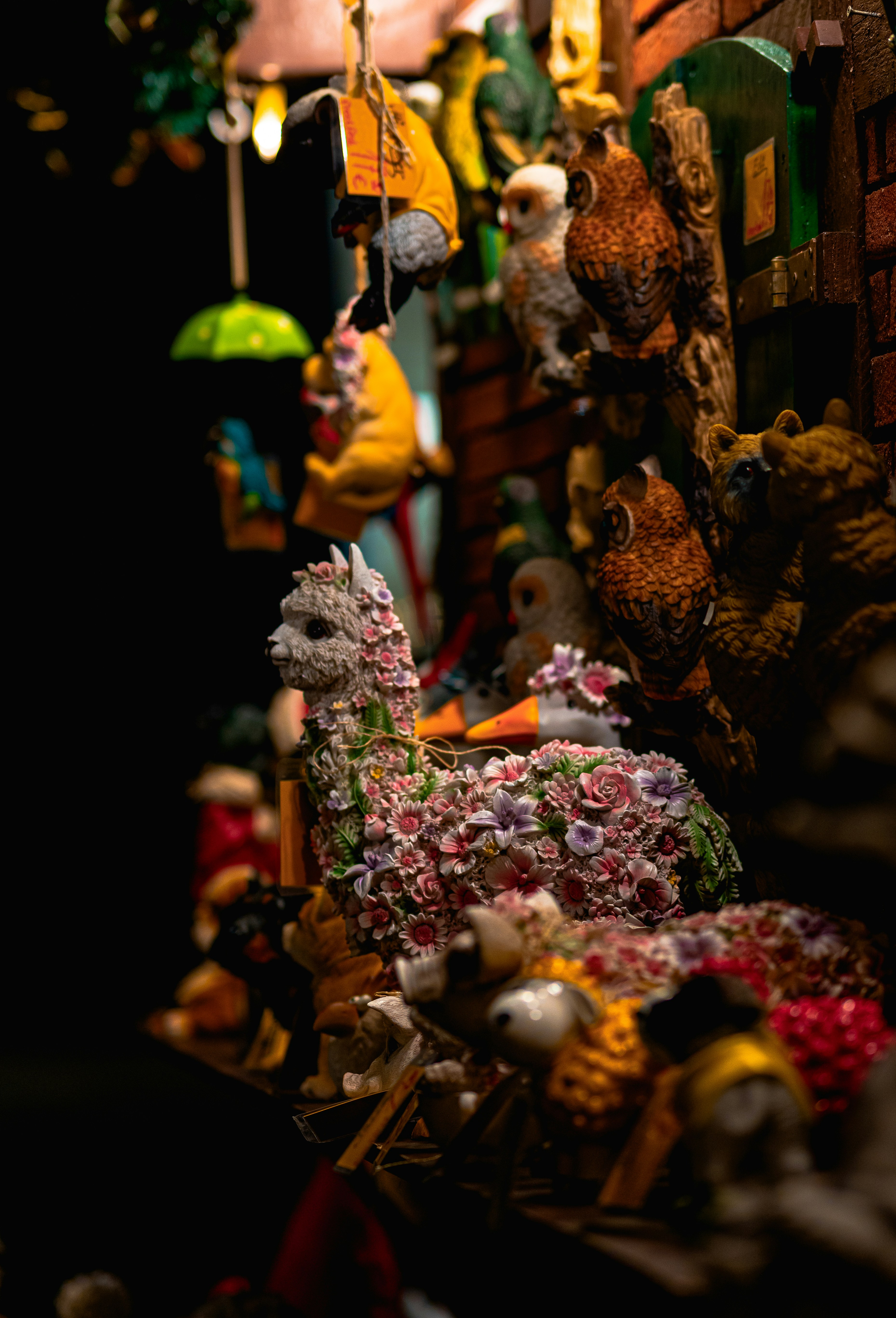 Photo by jahan_photobox