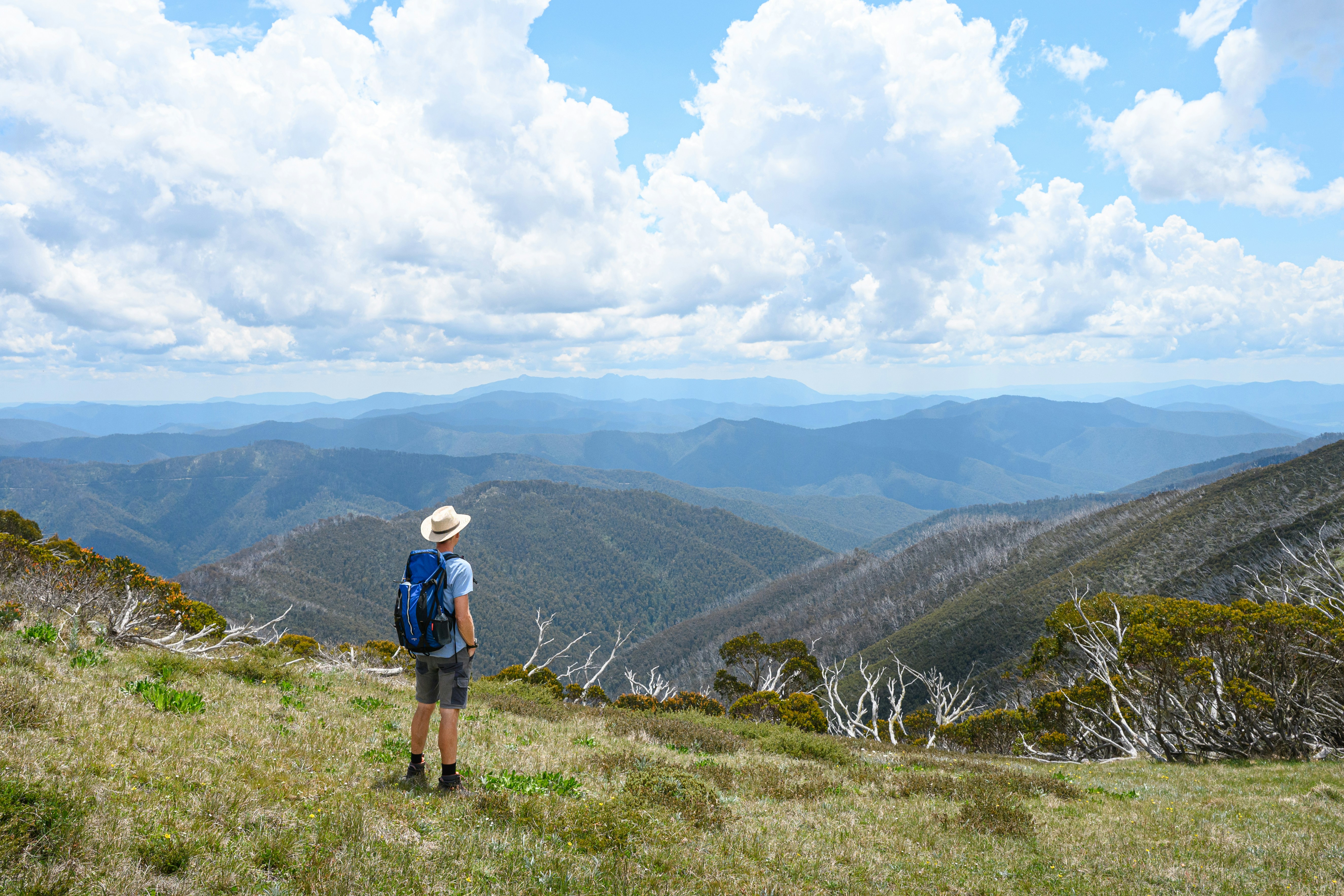 What’s a Realistic Daily Budget for Backpacking Australia in 2024?