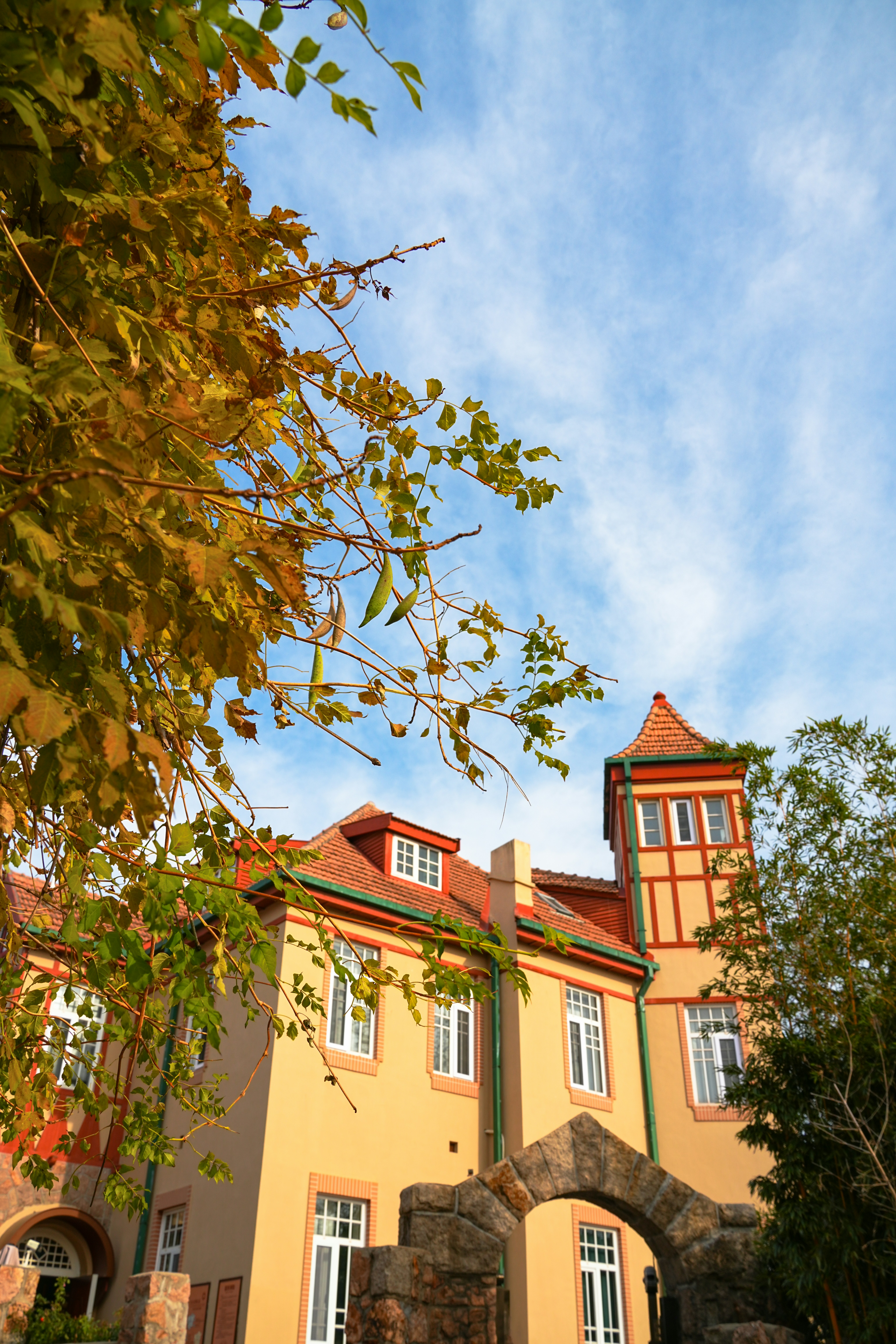 Photo by hattrick1996