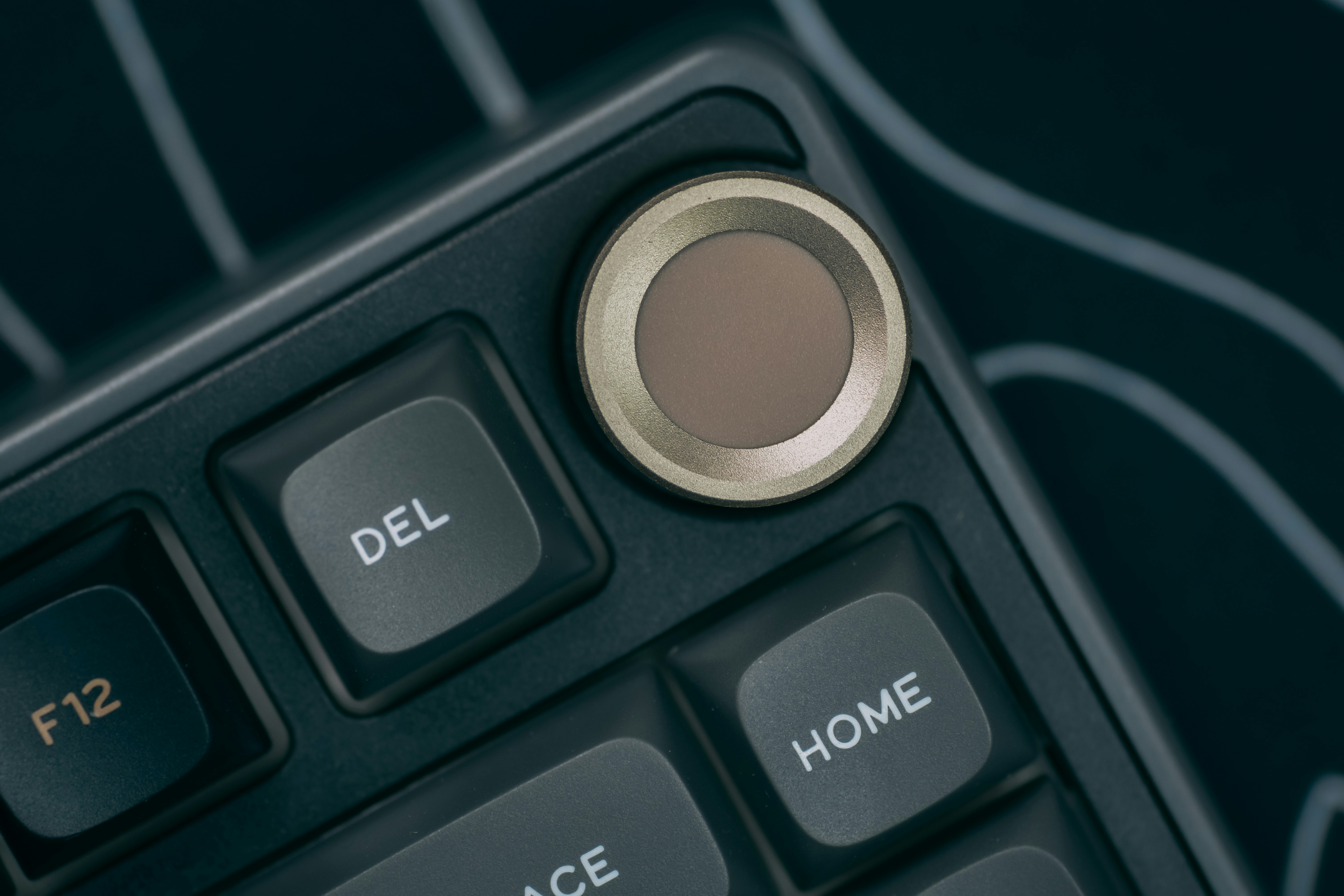 how to add buttons to wordpress