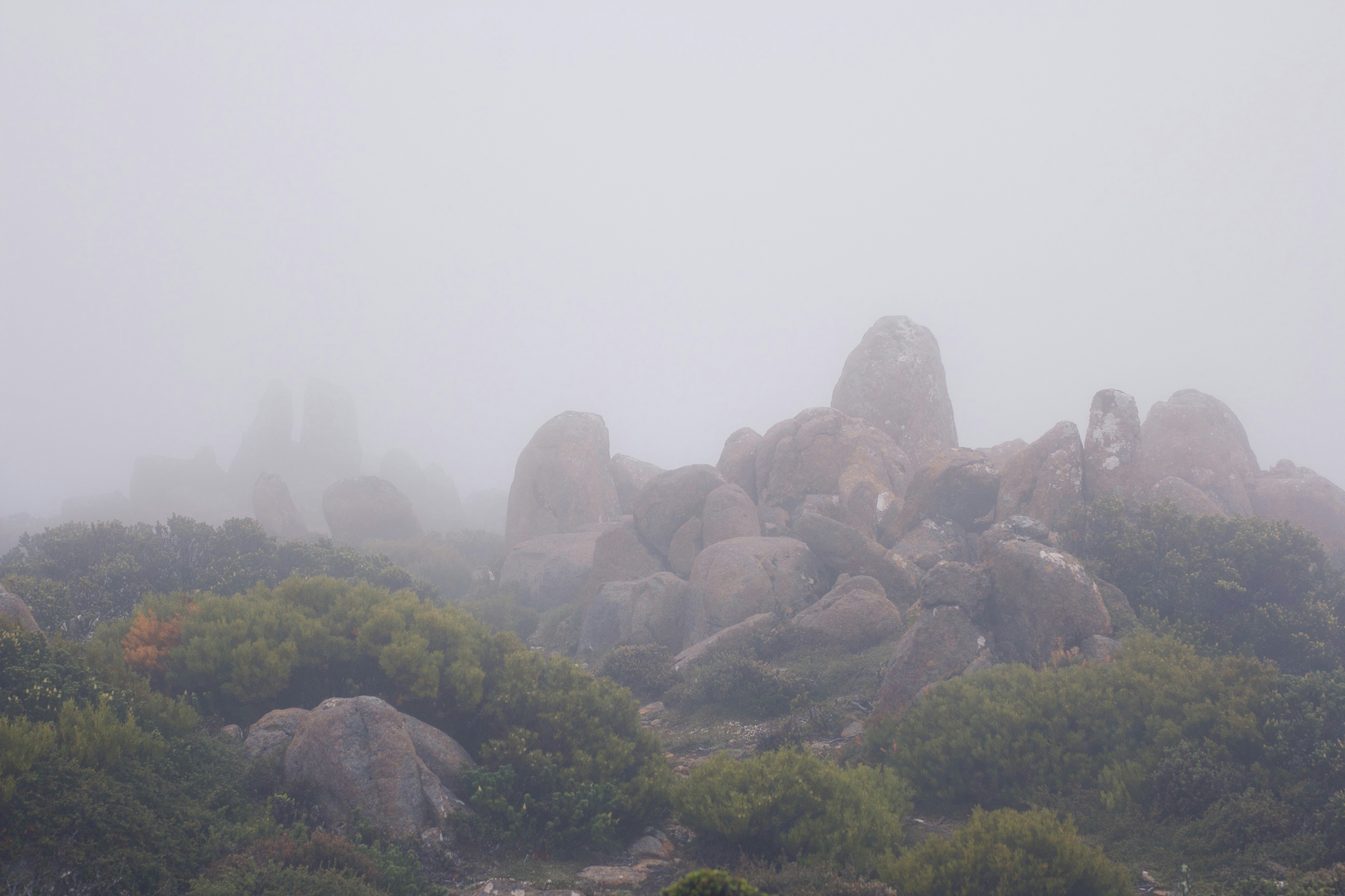 Inspiration for when the next step is unclear