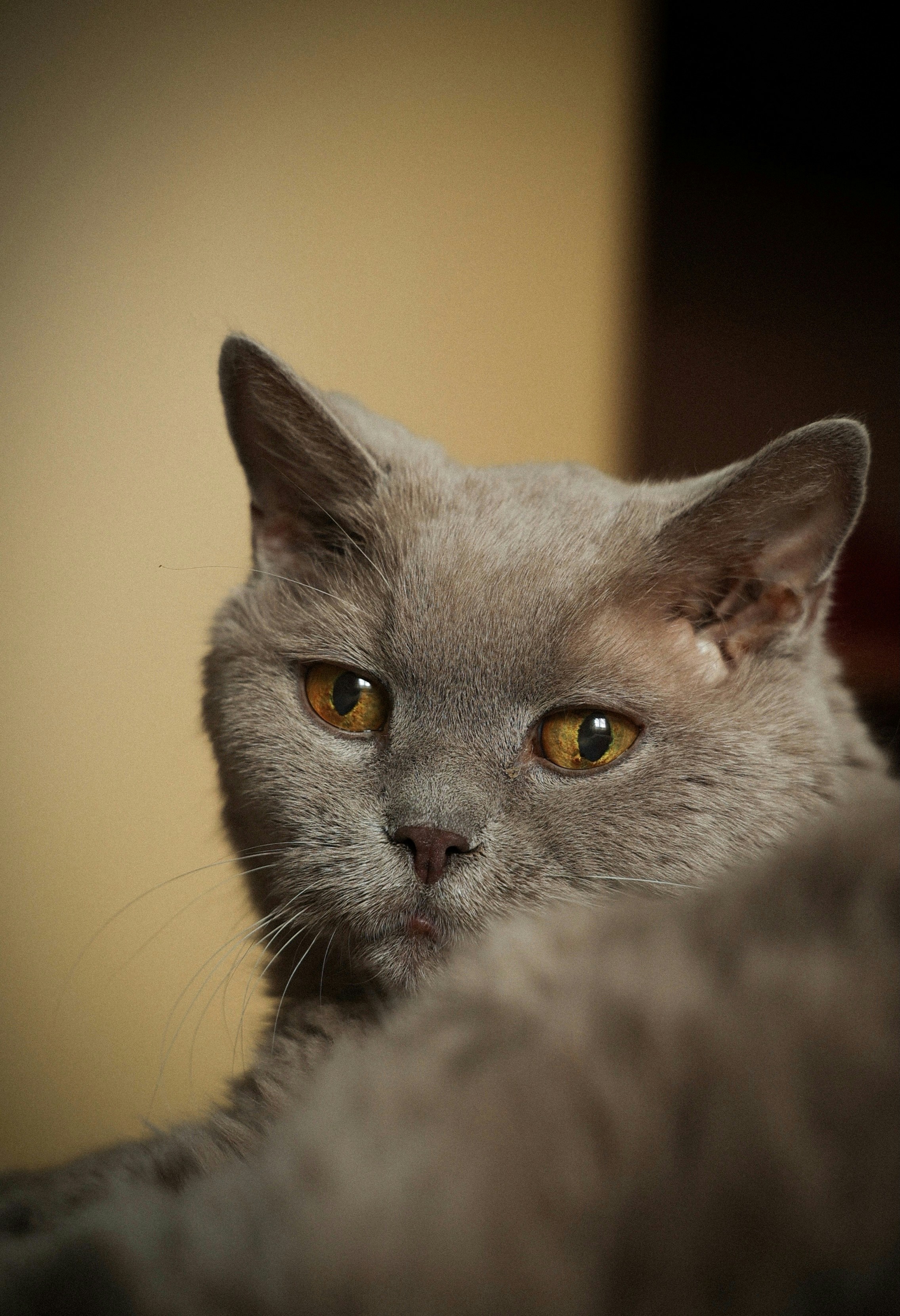 Photo by larisarunova