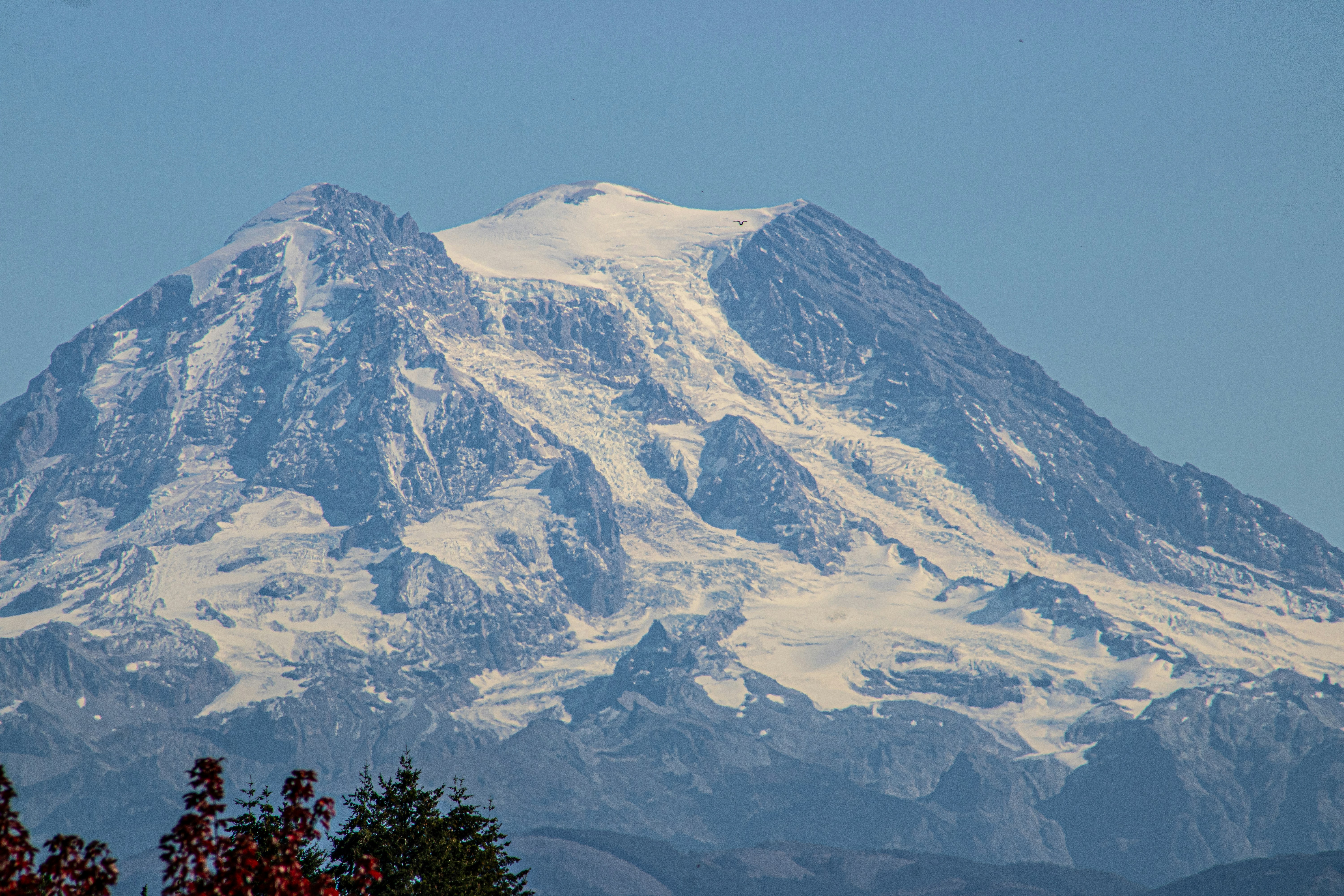 Photo by prphotography262