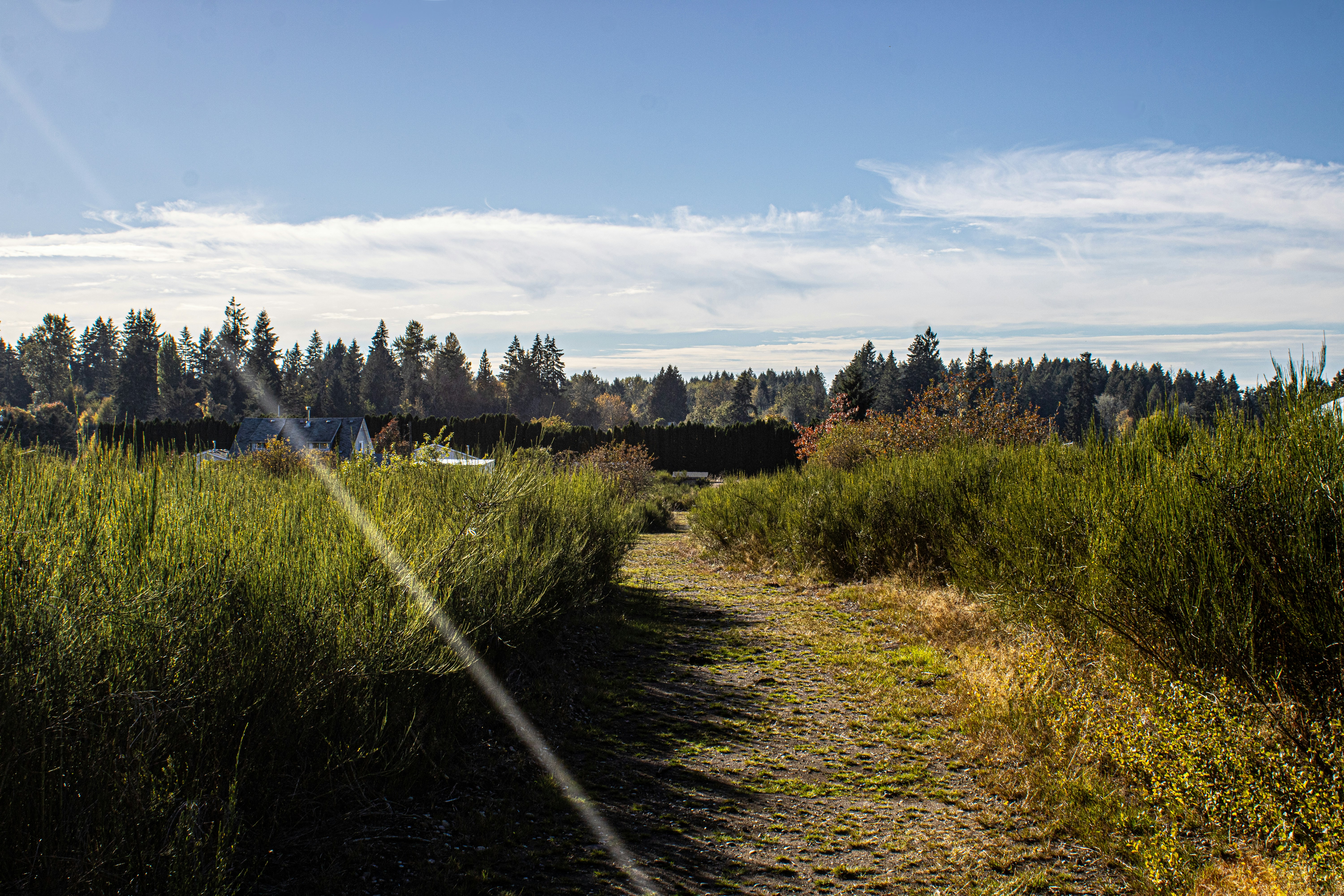 Photo by prphotography262