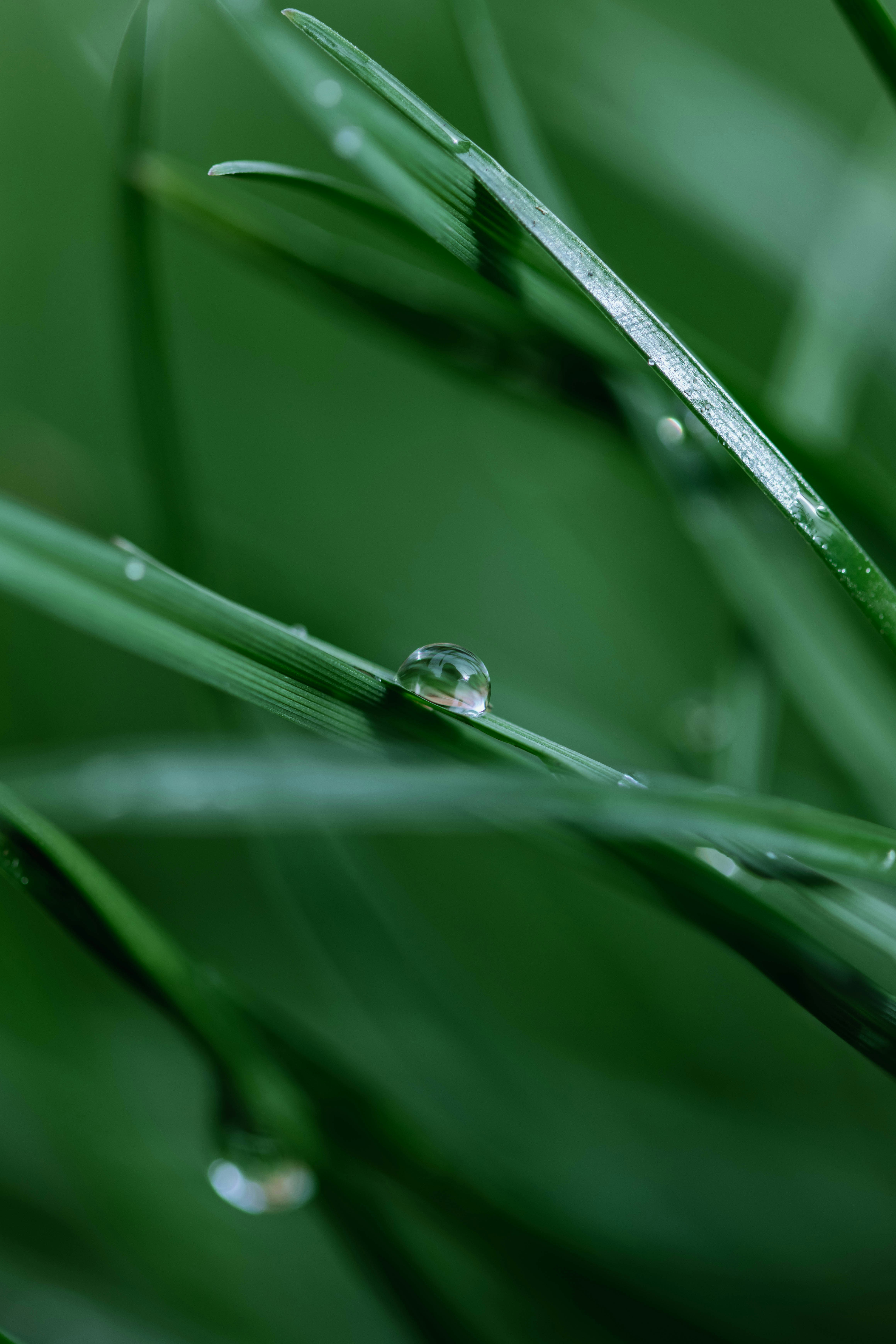 Photo by sarahhongerloot