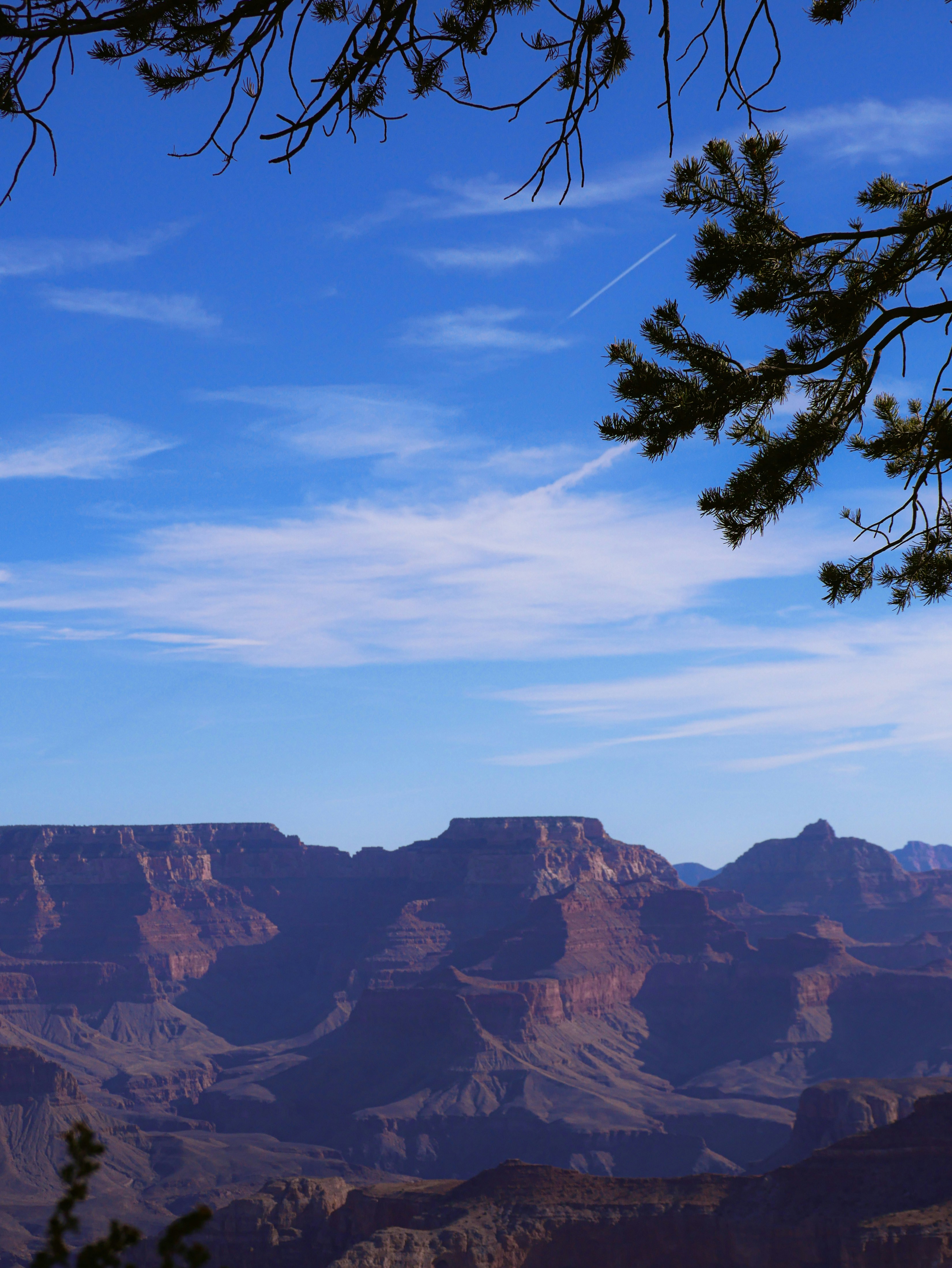 Photo by corelliancat