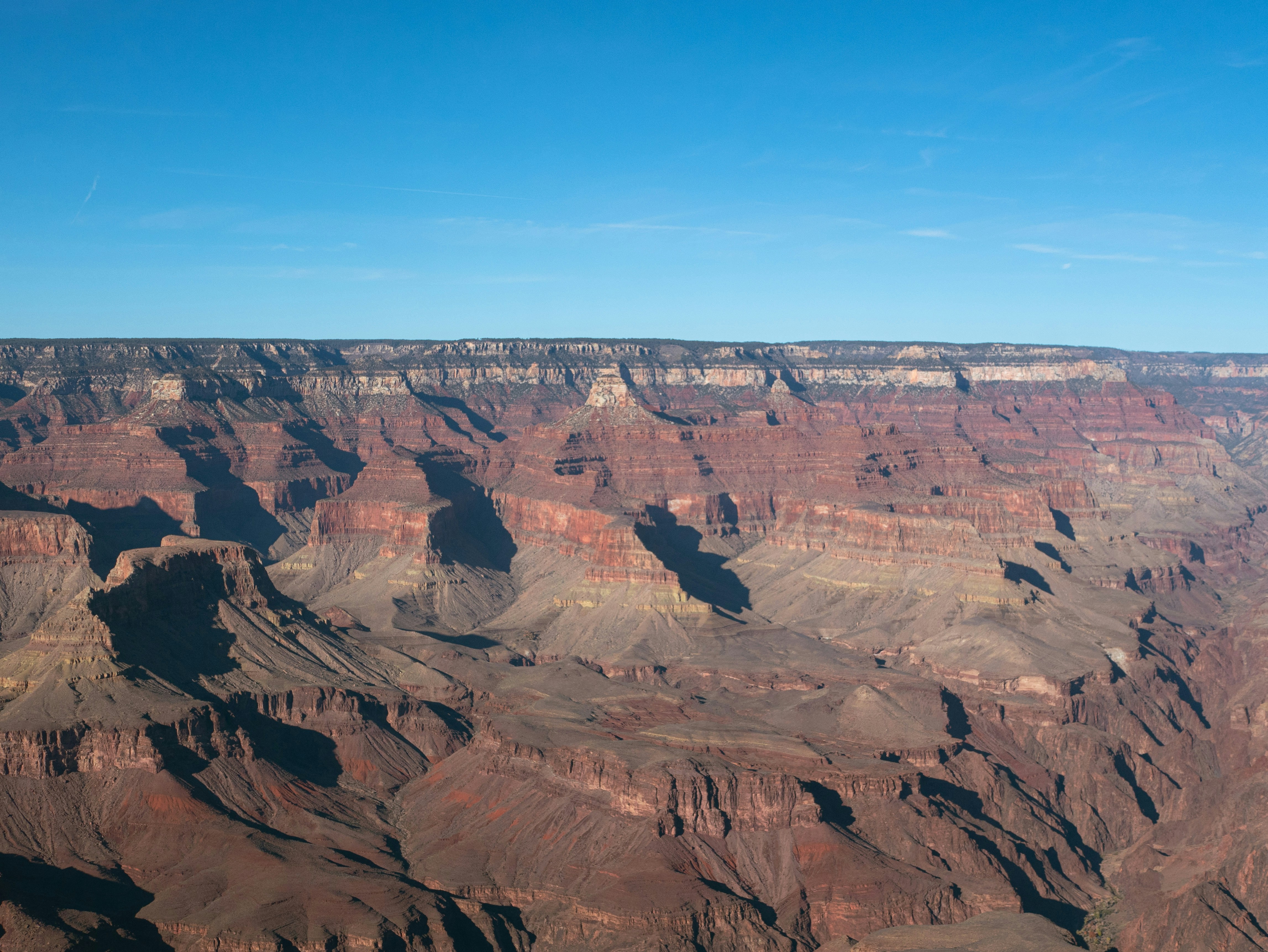 Photo by corelliancat