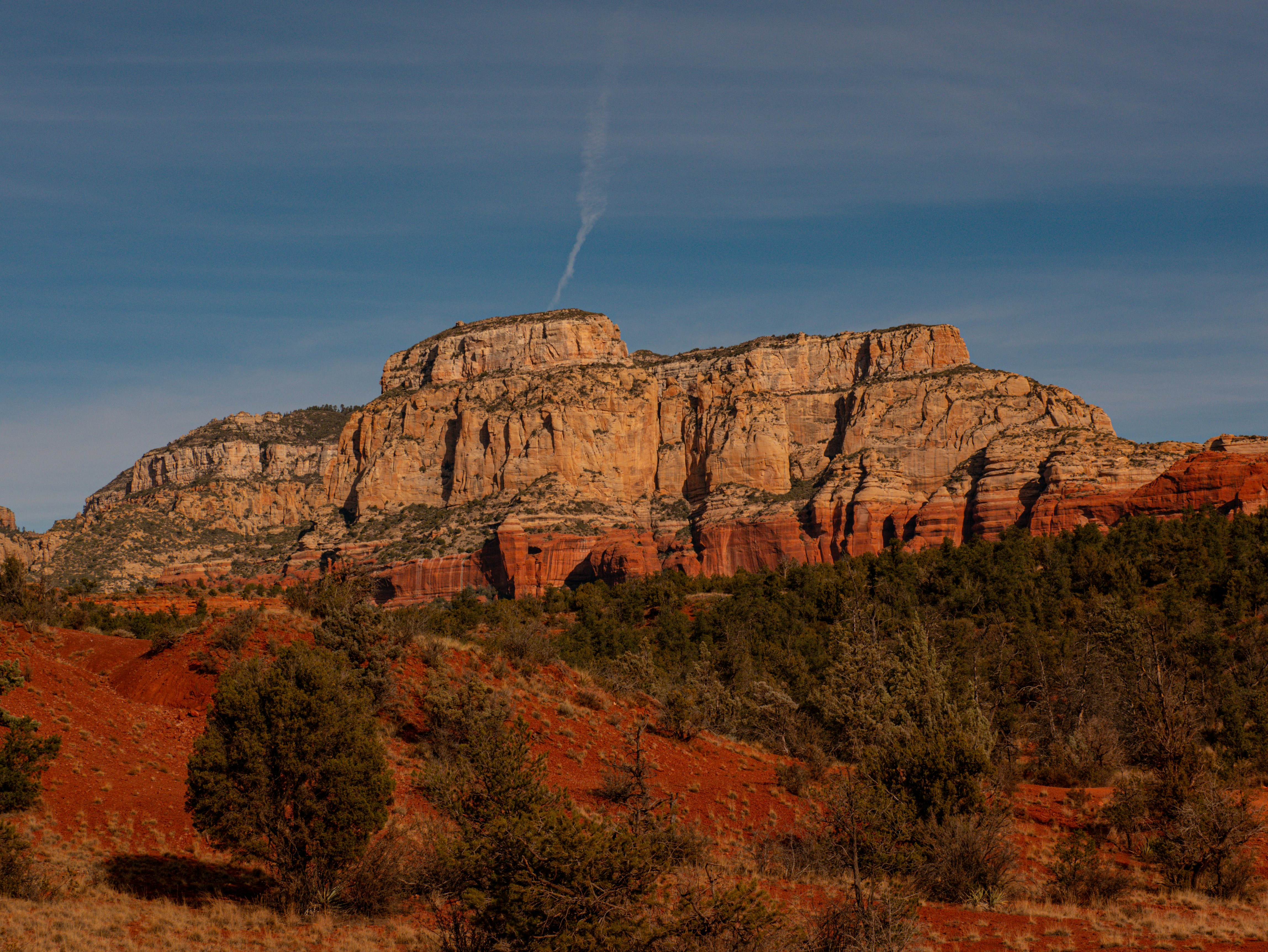 Photo by corelliancat