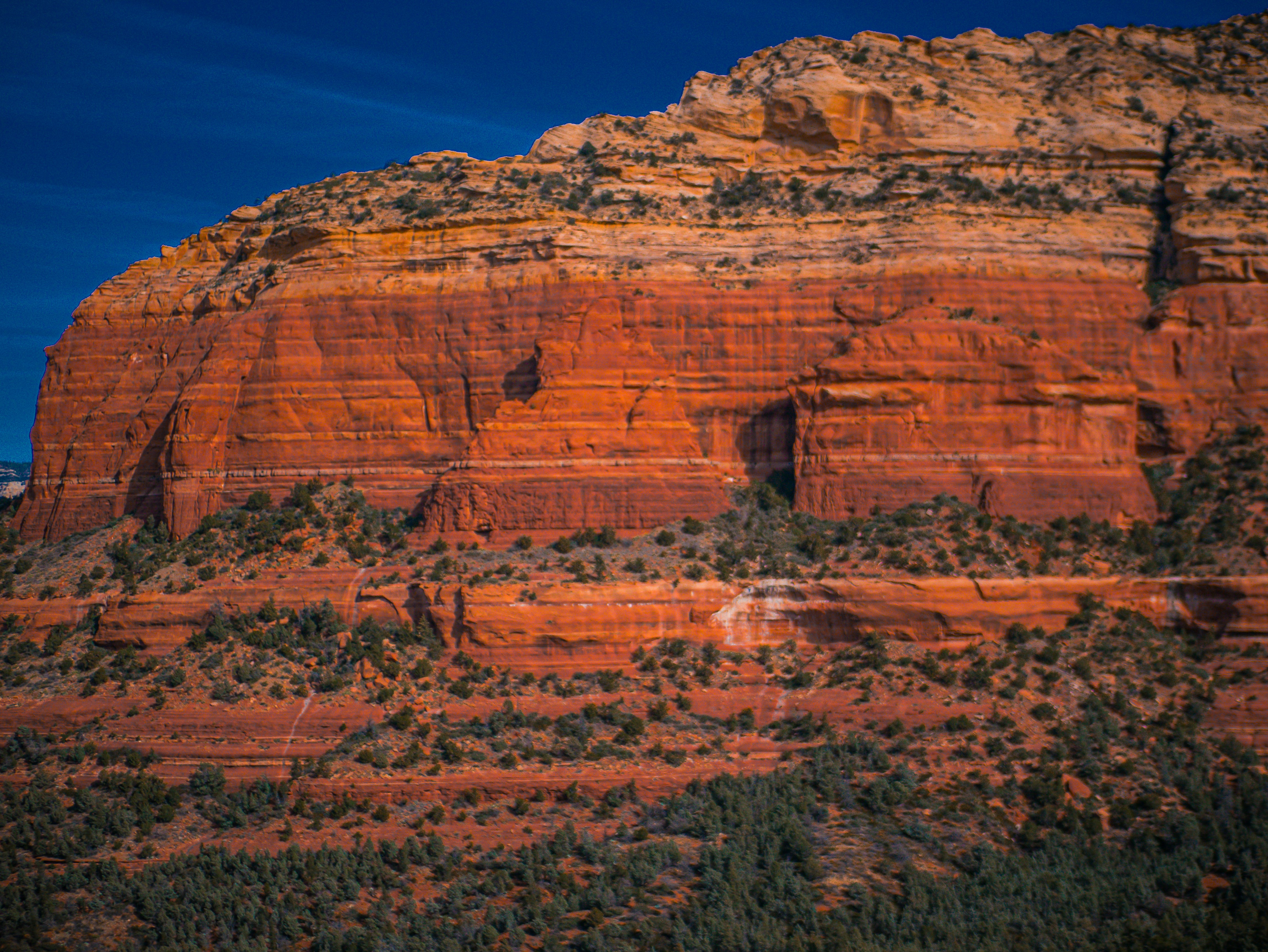 Photo by corelliancat