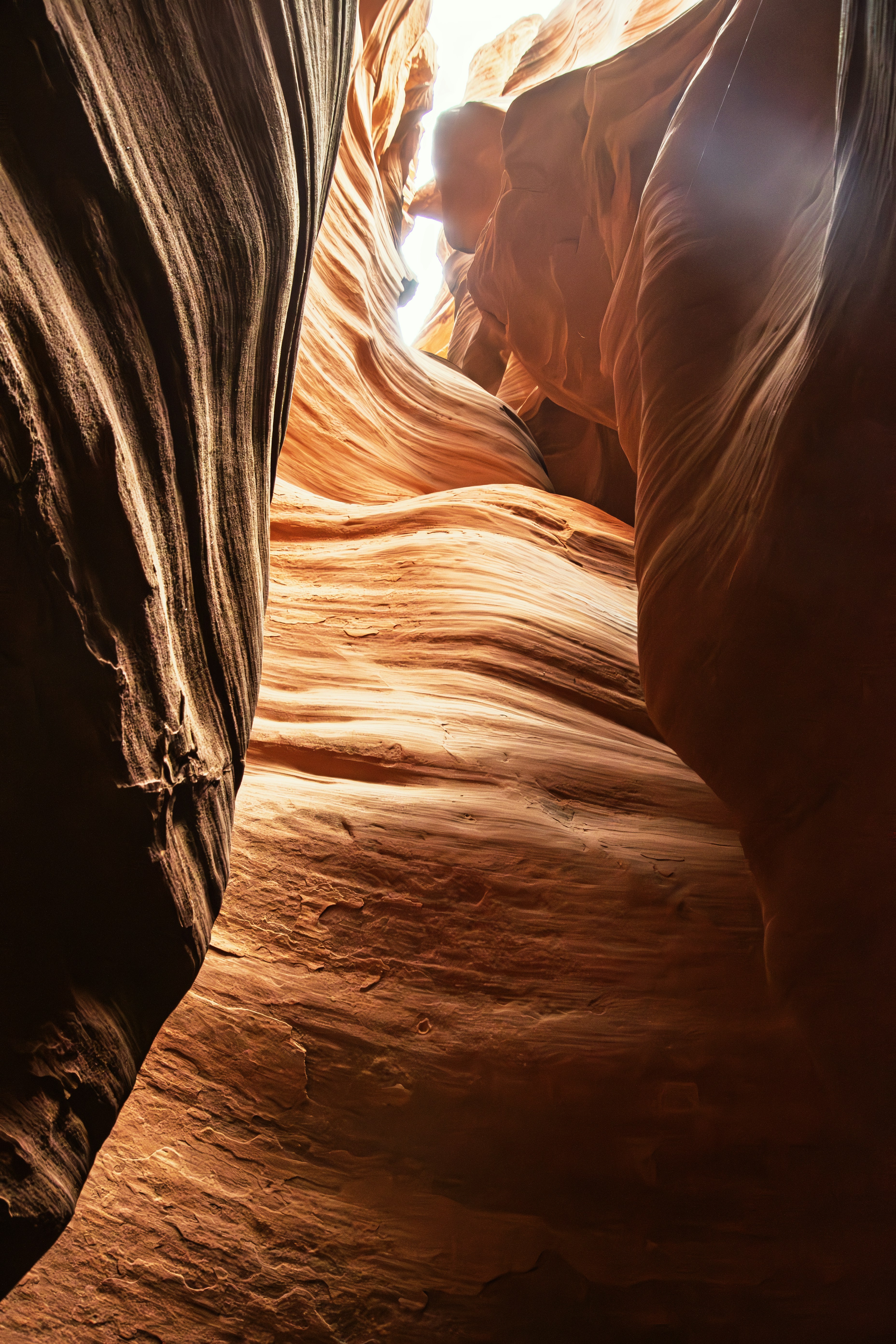 Photo by gabrielrana