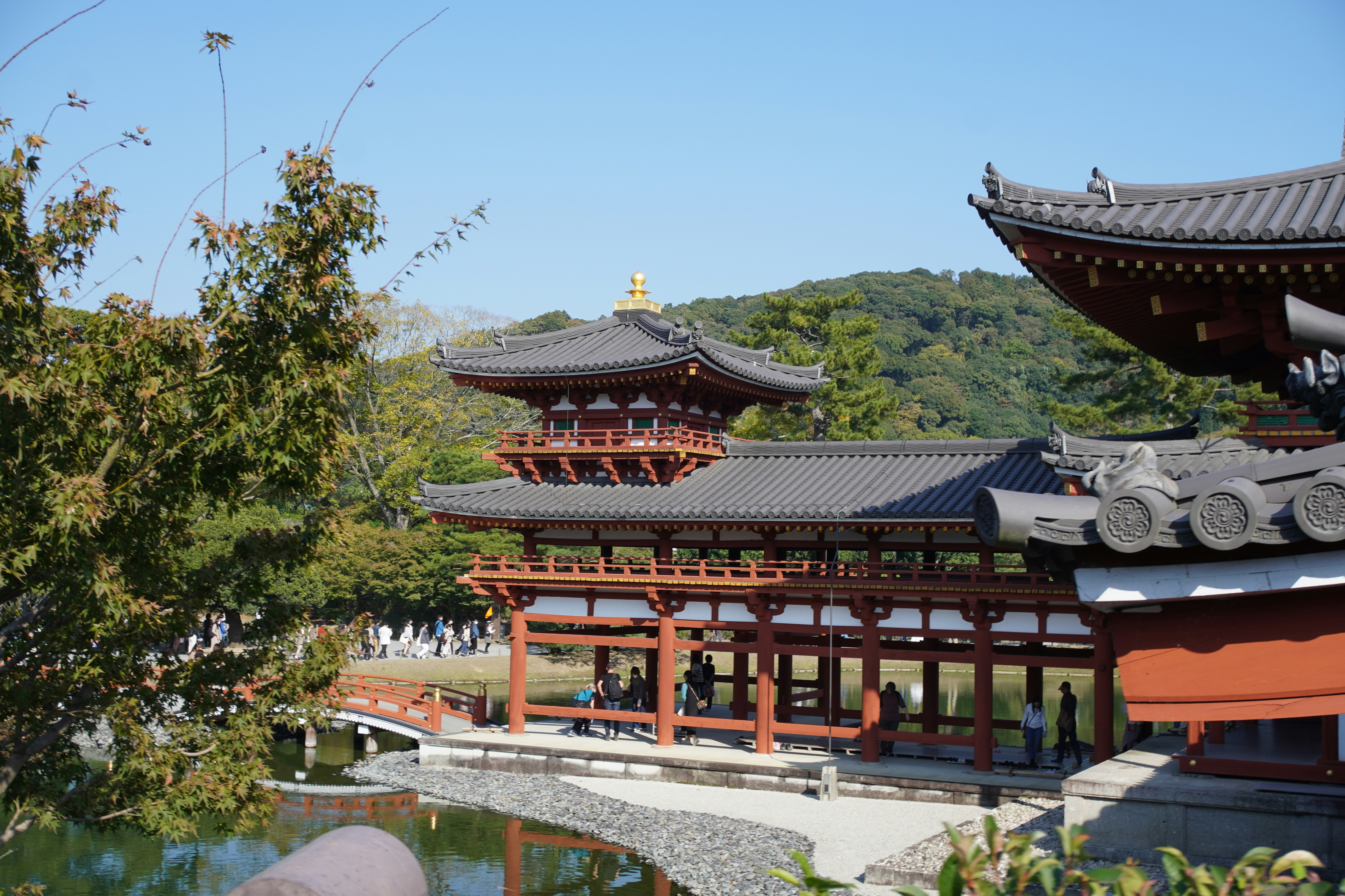 Photo by bonehead_1996