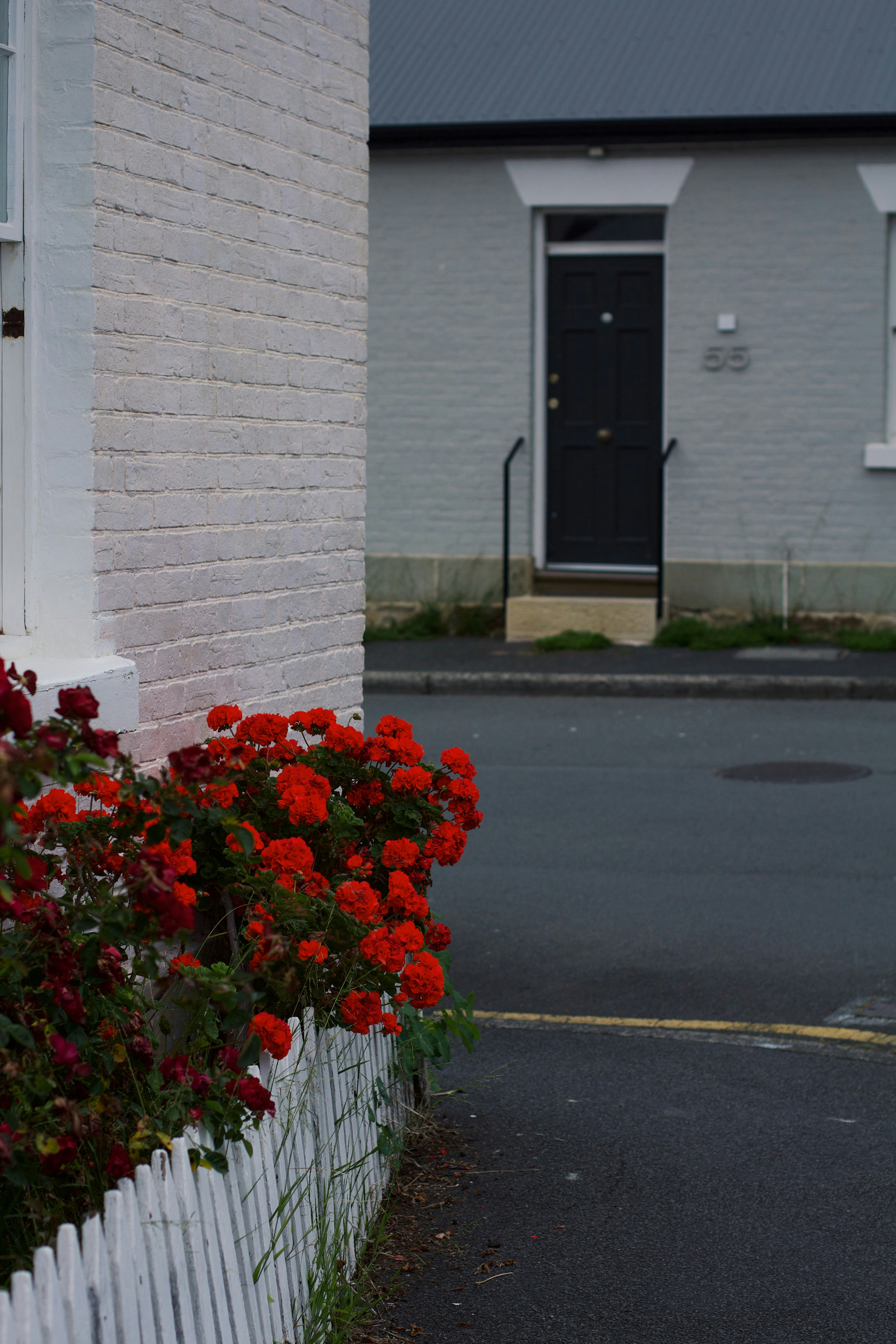 Una staccionata bianca con fiori rossi davanti a una casa