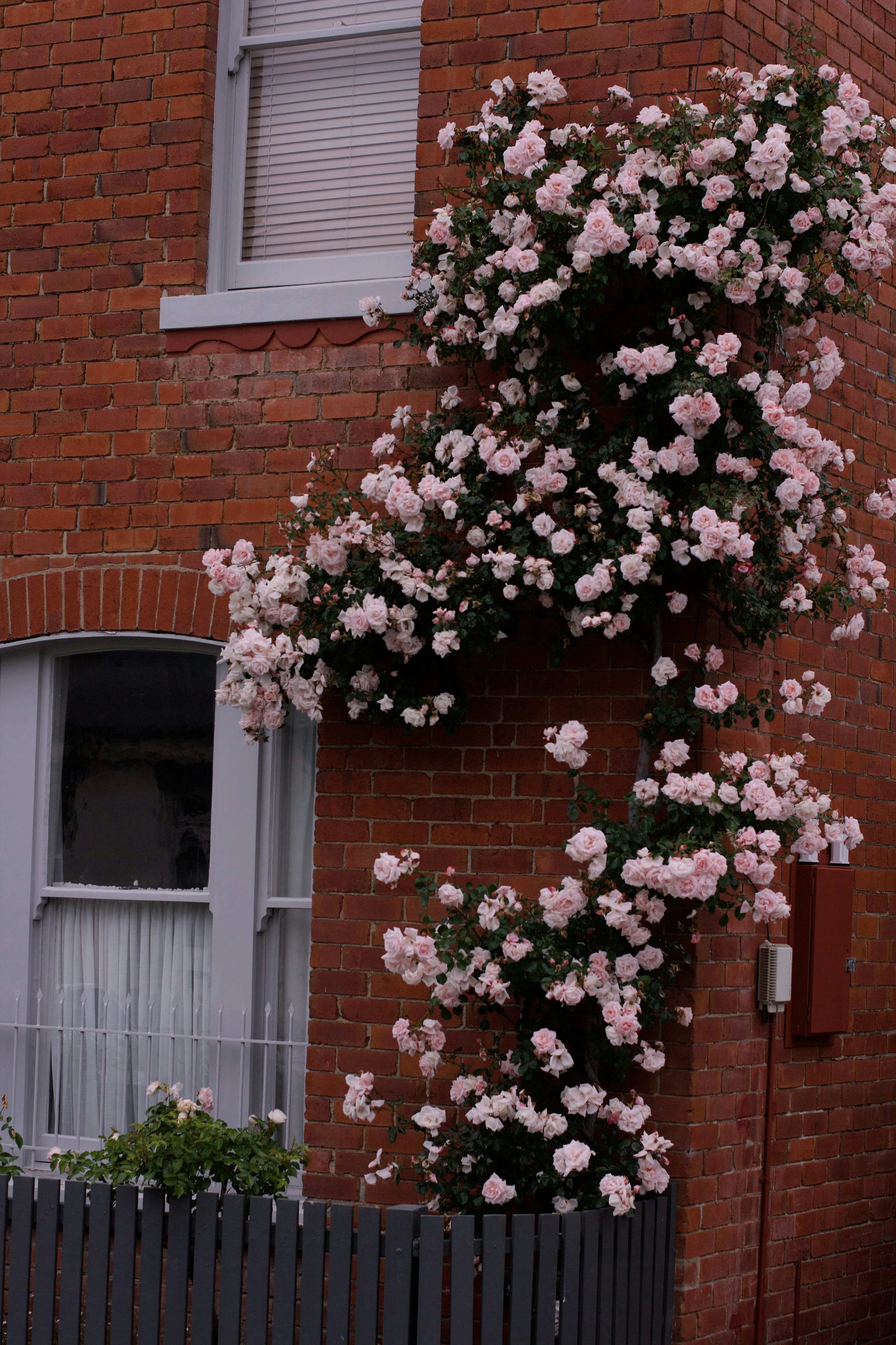 Un edificio in mattoni rossi con una recinzione nera e fiori rosa su di esso