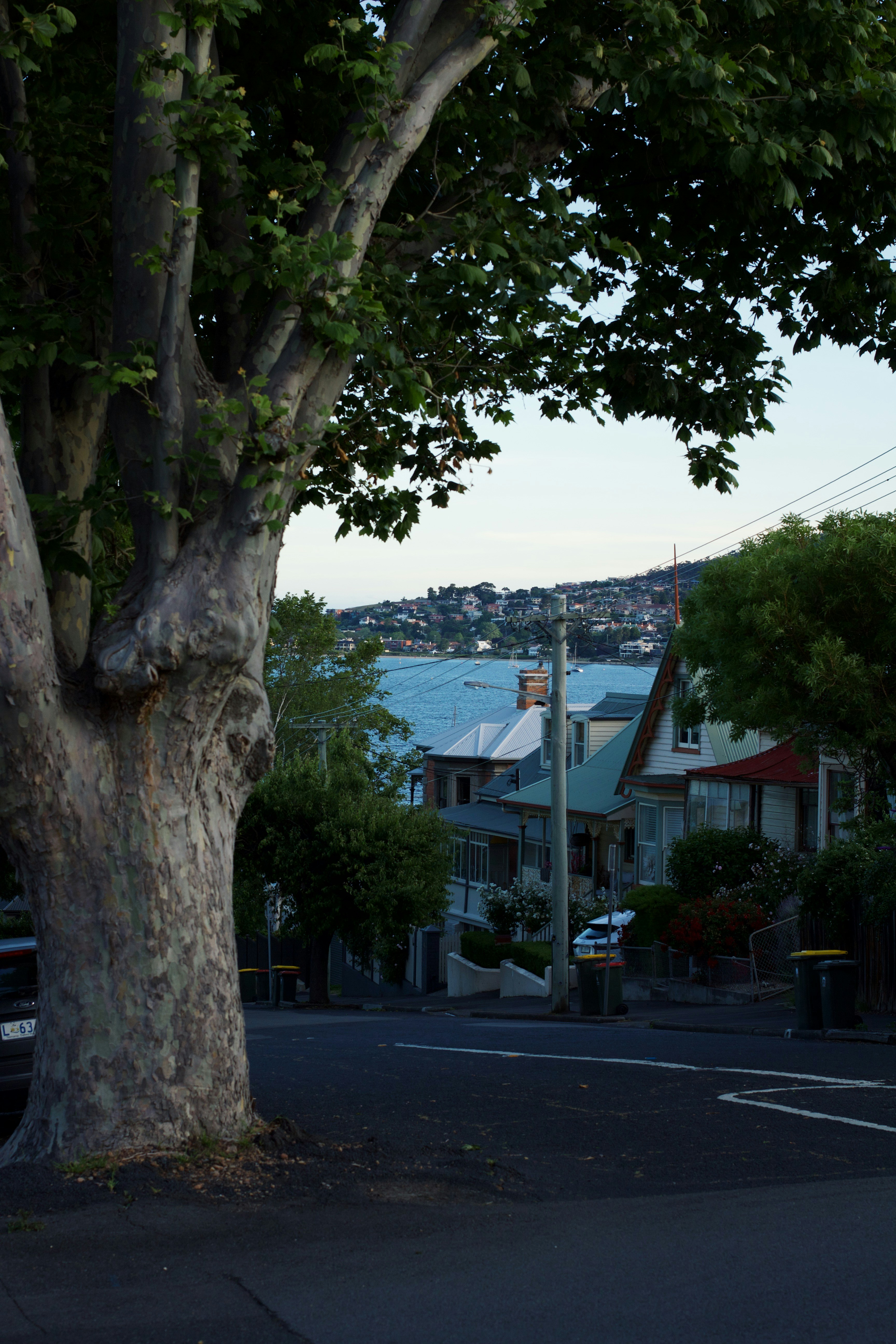 How Tasmania Reclaimed Its Whisky